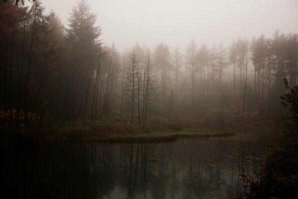 La niebla de la mañana casi oculta el lago