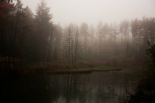 Poranna mgła prawie ukrywa jezioro