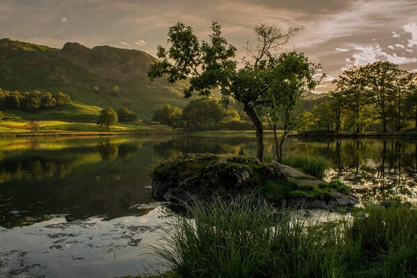 A mysterious corner of evening peace