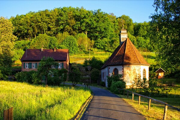 Cozy little houses among greenery and forest