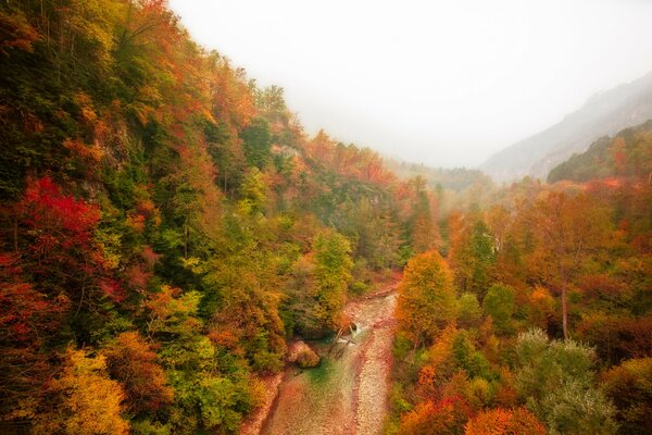 Draufsicht auf die Herbstlandschaft