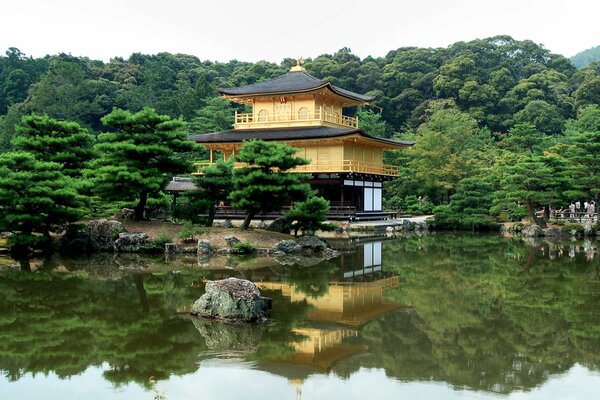 Klares Wetter in Japan Bäume werden im Fluss angezeigt