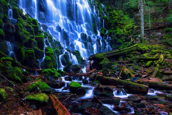 Mount Hood Forest Rock Falls