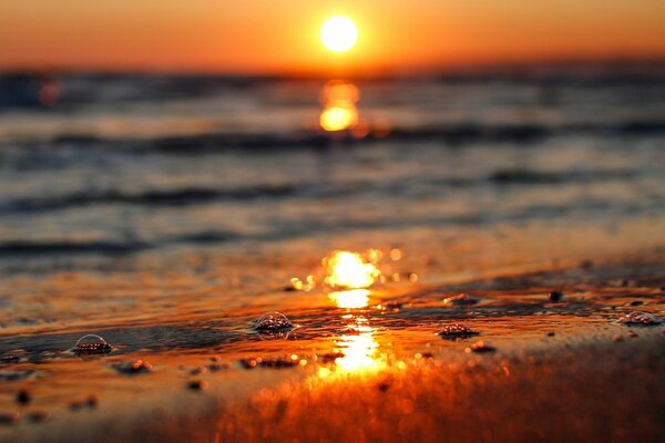 Beautiful sunset on the background of the sea