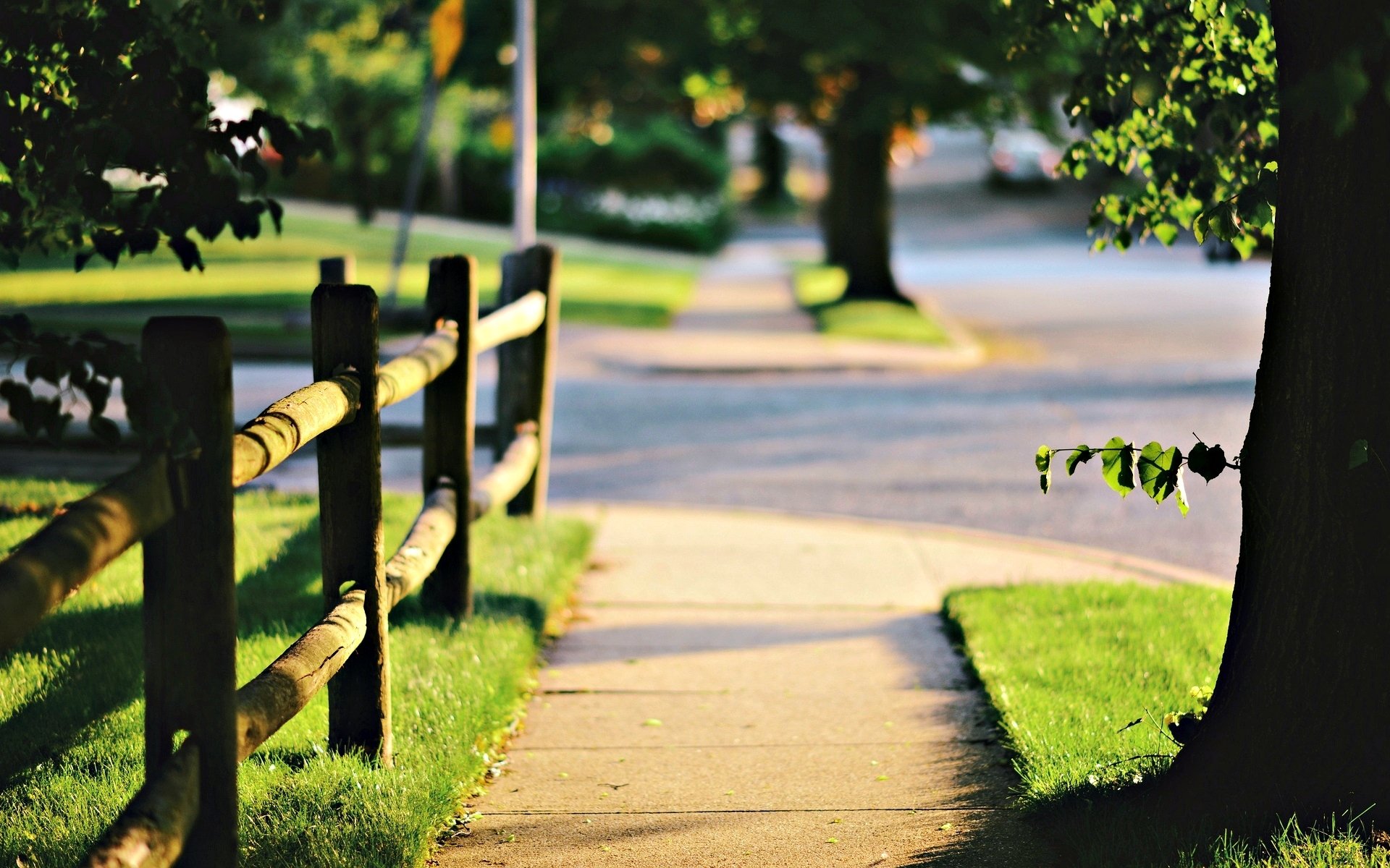 nature tree trees leaves leaves fence fence grass greenery sun path alley macro dufmuib sun day blur background wallpaper widescreen fullscreen widescreen