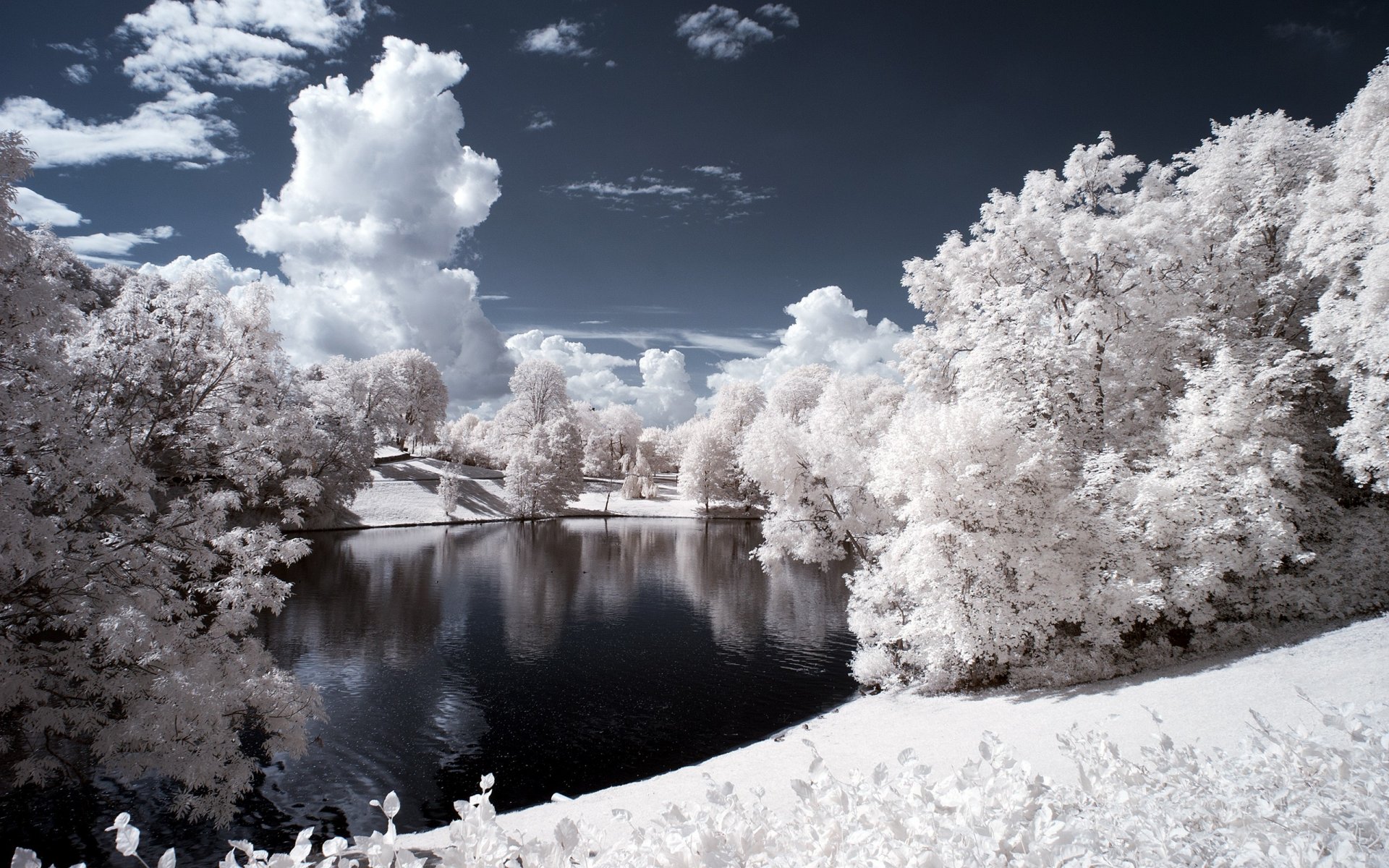 hiver neige arbres forêt soir rivière côte paysage ciel nuages