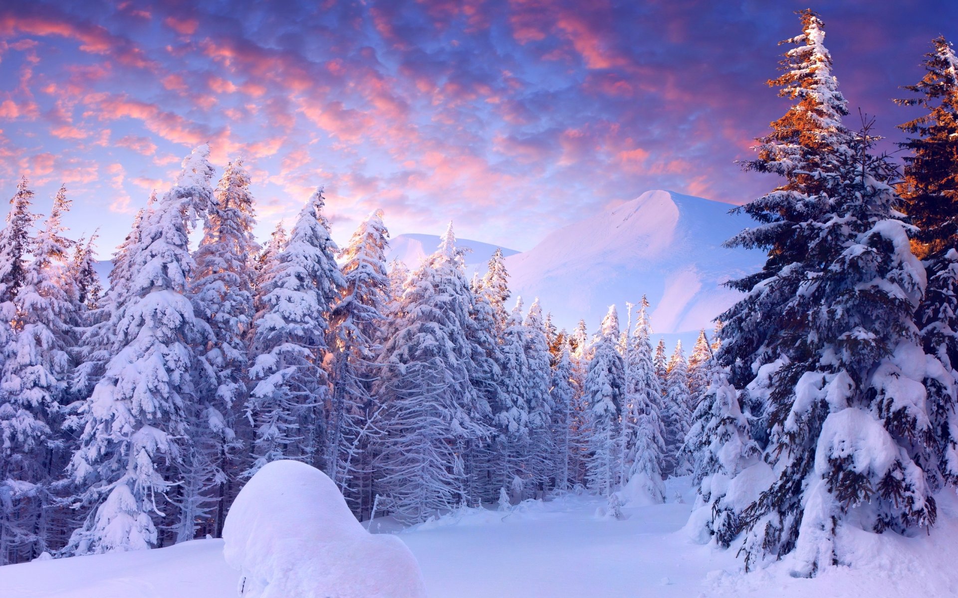 winter schnee bäume berge himmel wolken licht