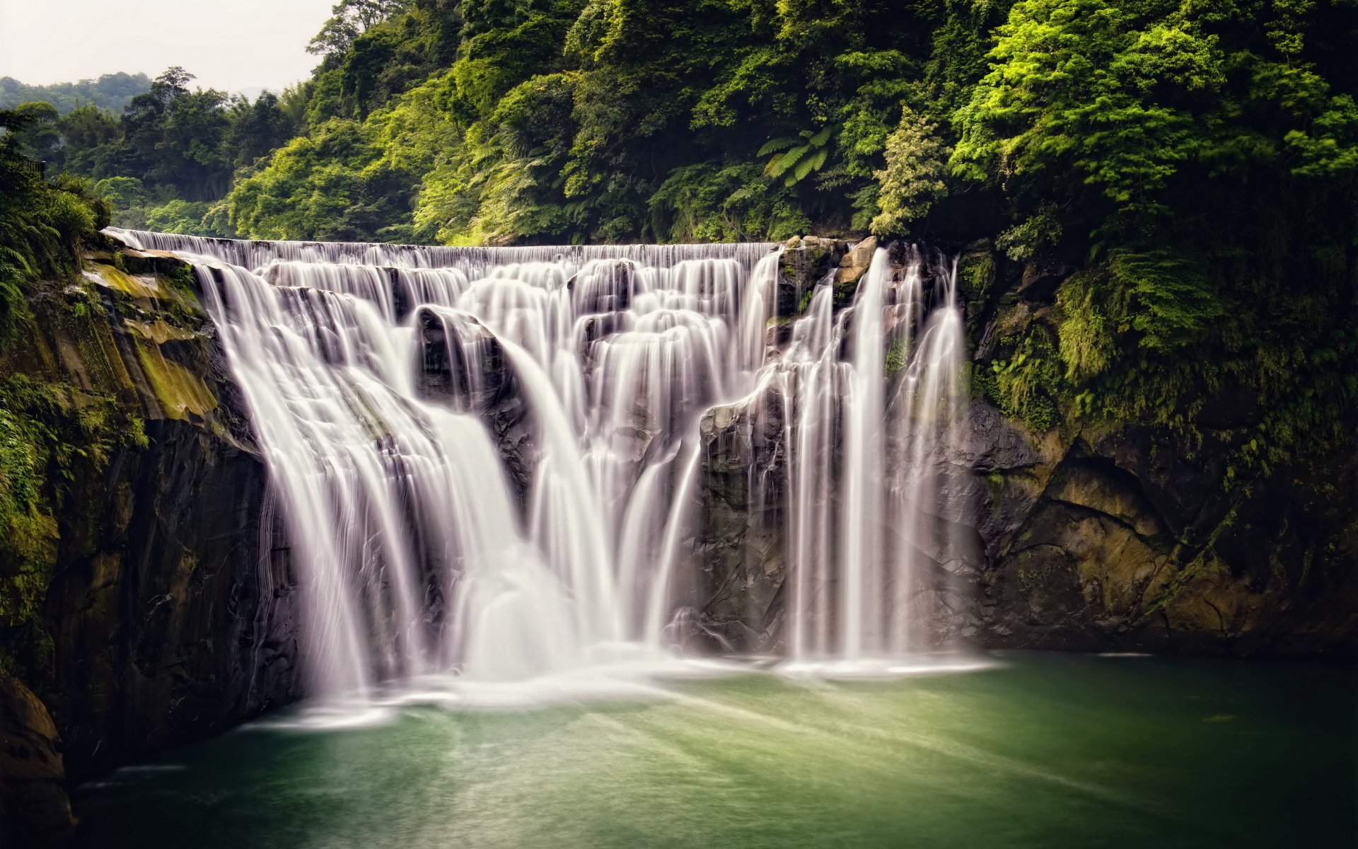 cascade nature shifeng cascade taiwan forêt jungle