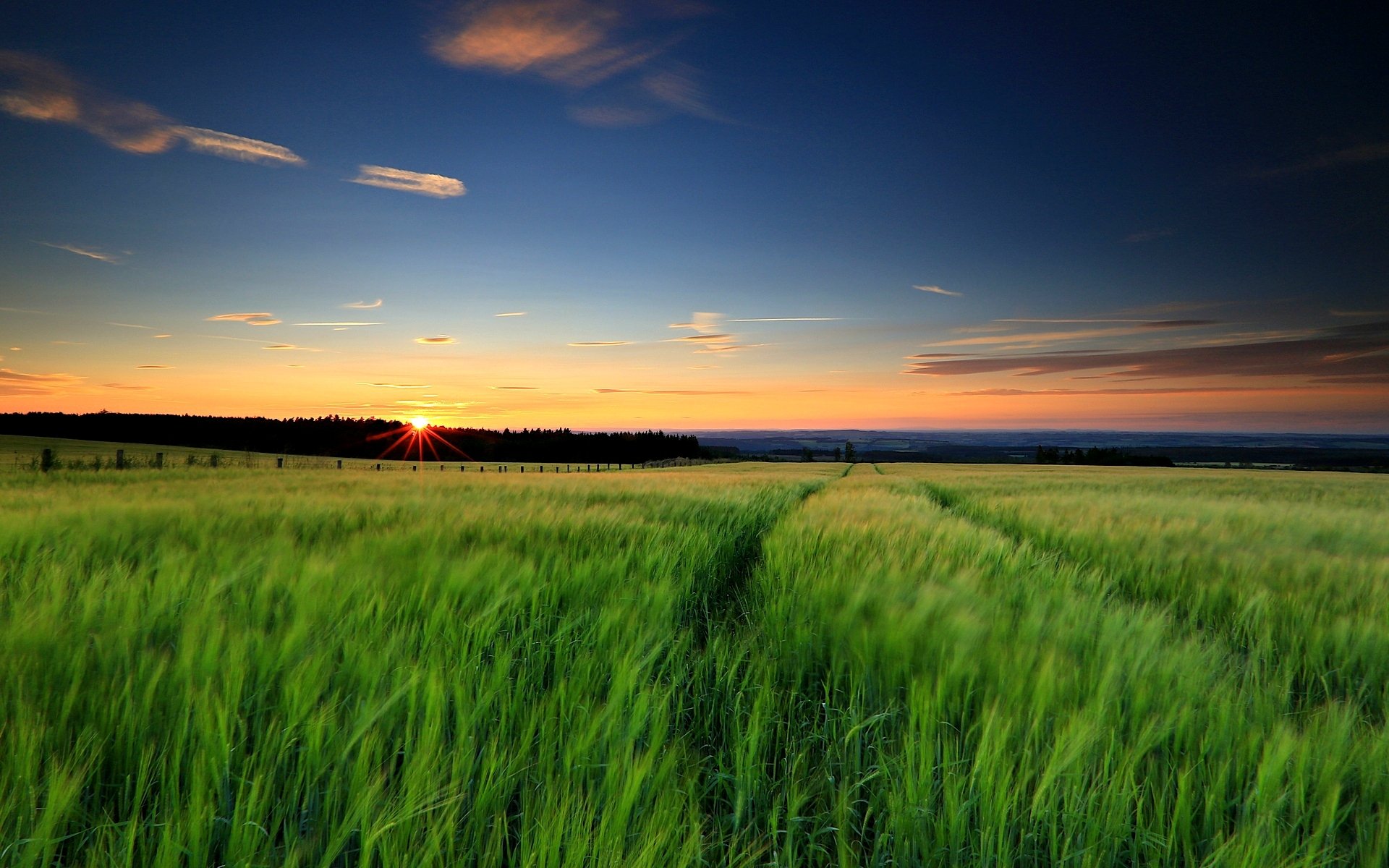 natura paesaggio verde erba campo sole tramonto sera cielo sfondo carta da parati widescreen schermo intero widescreen widescreen