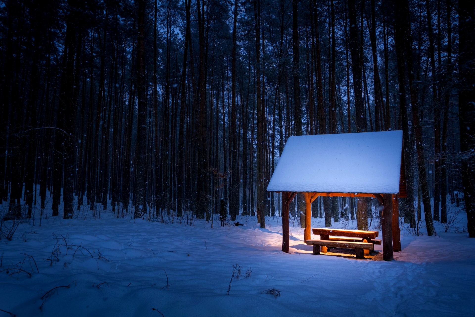 invierno nieve huellas copos de nieve bosque árboles arbustos dosel banco banco mesa banco iluminación luz