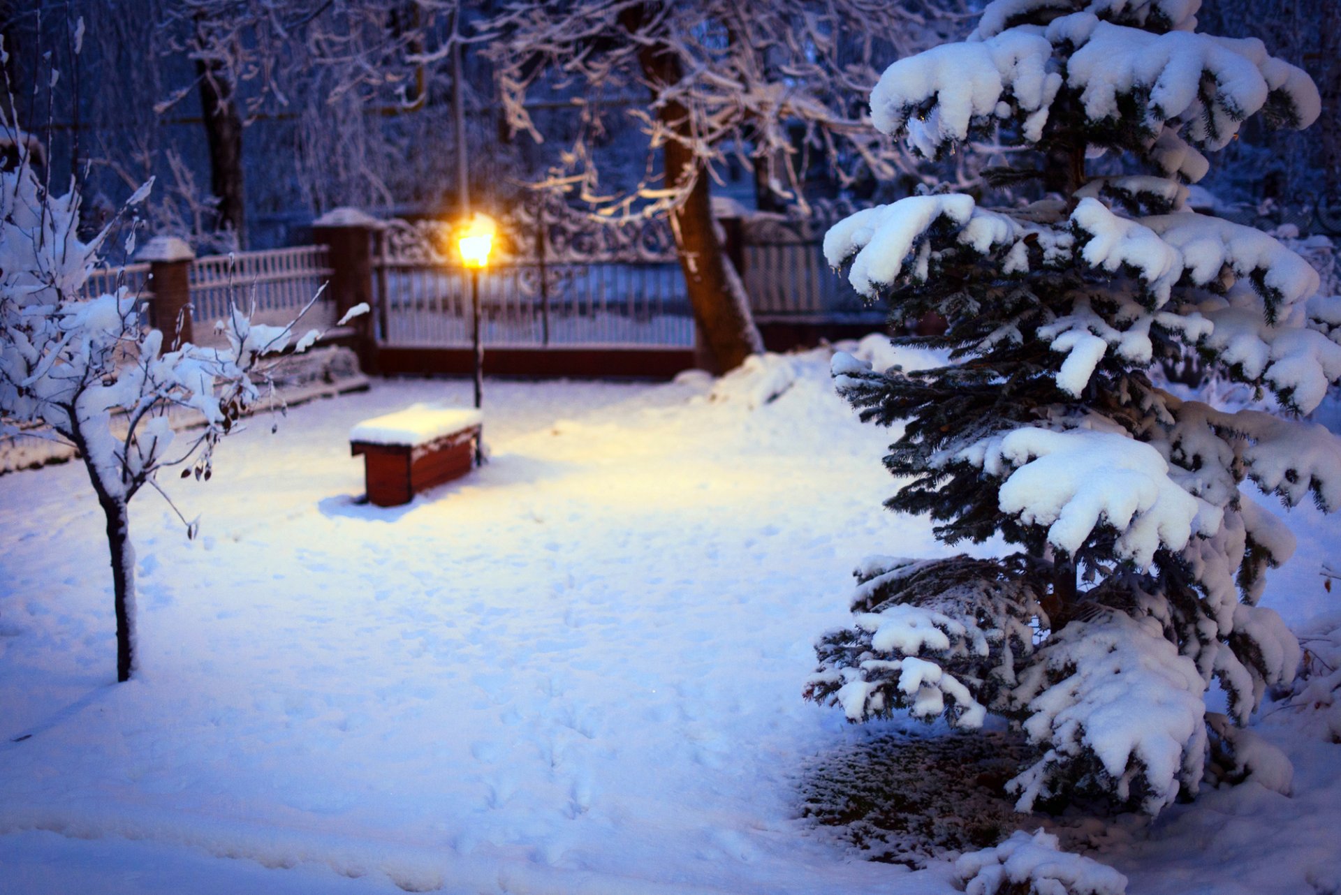 invierno nieve patio árbol de navidad abeto árboles linterna iluminación naturaleza