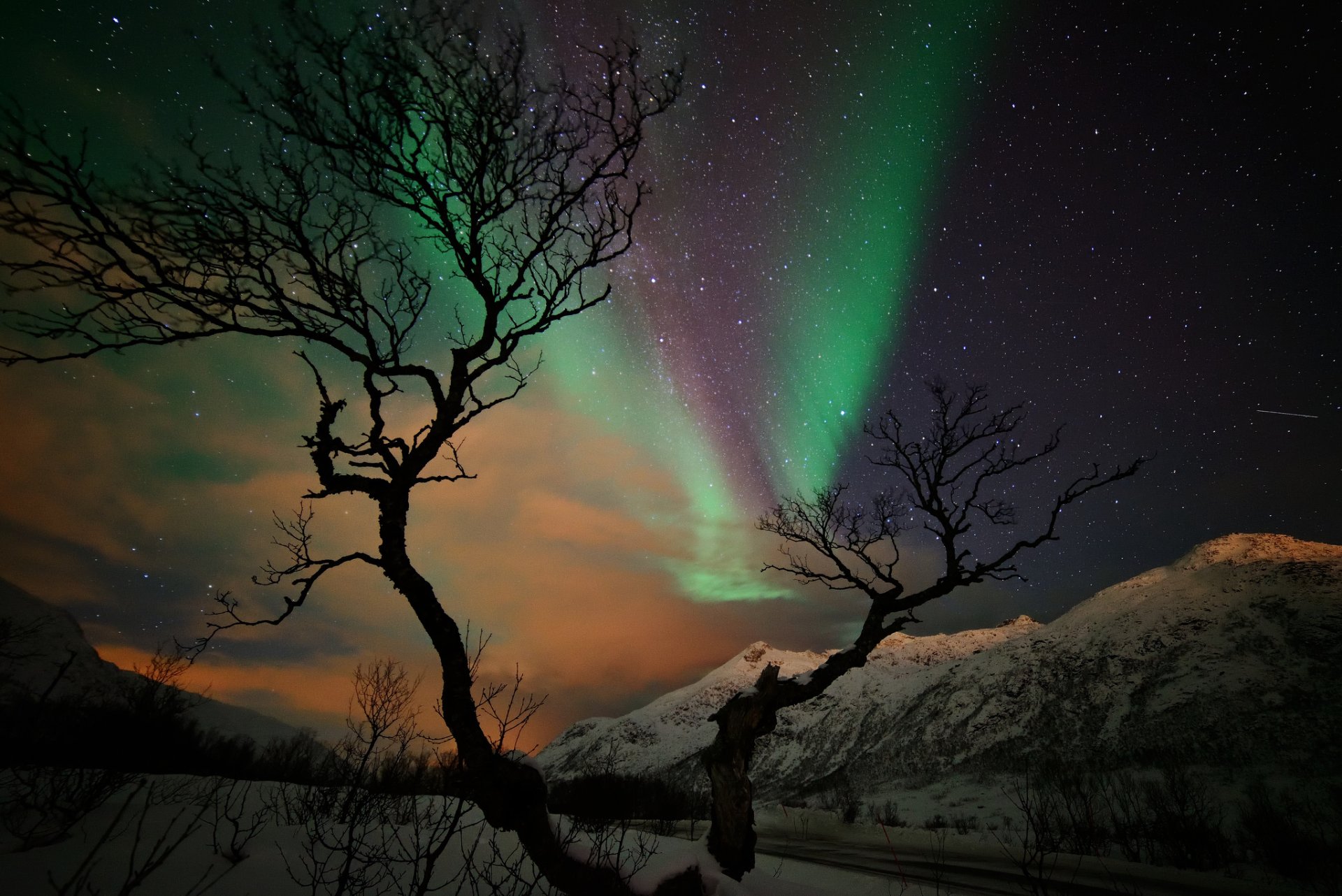 berge schnee winter baum nacht sterne nordlichter