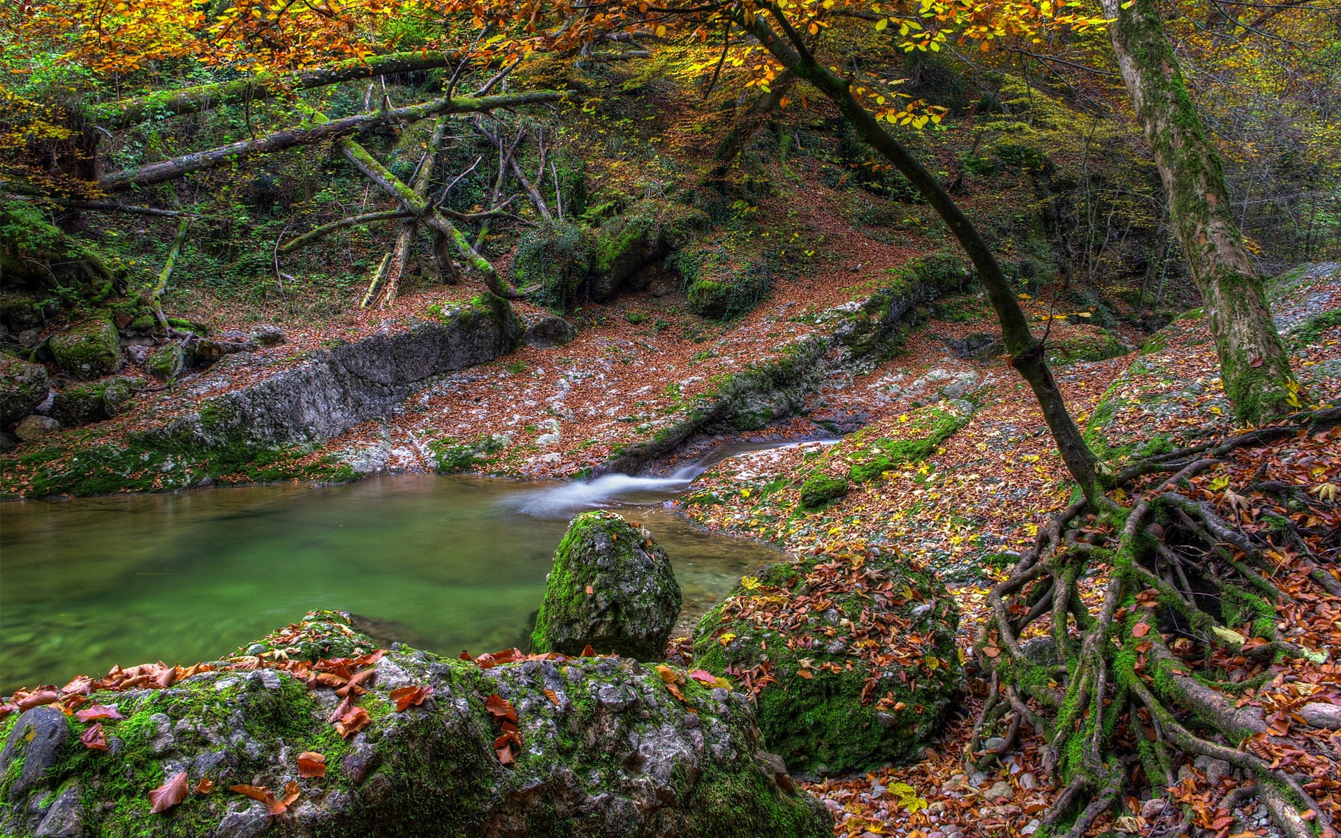 herbst wasser steine moos bäume fluss see blätter