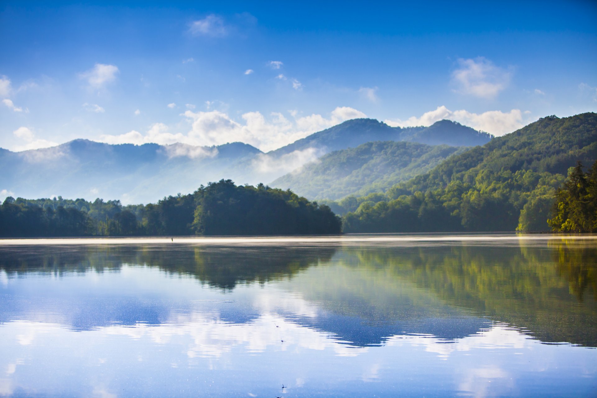 berge wald see reflexion morgen