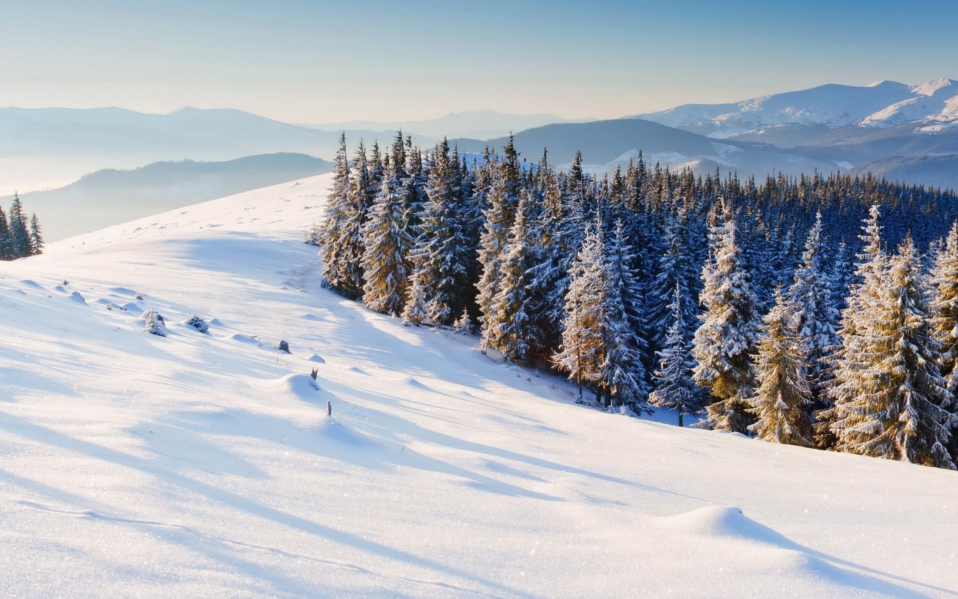 natur winter schnee weihnachtsbäume bäume berge winter hintergrund tapete widescreen vollbild widescreen