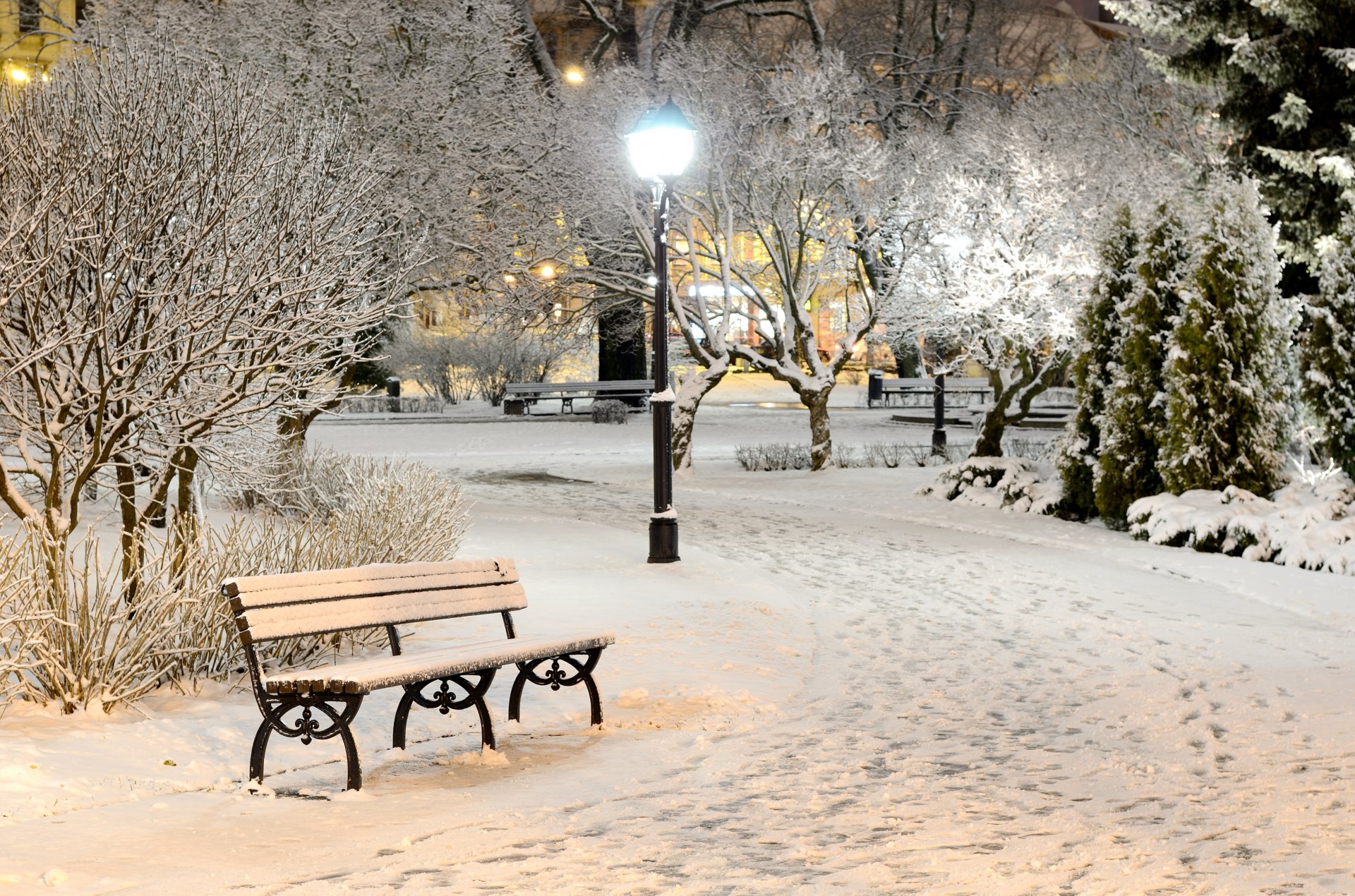 banc banc banc banc hiver neige soirée lanternes lumière nature parc arbres