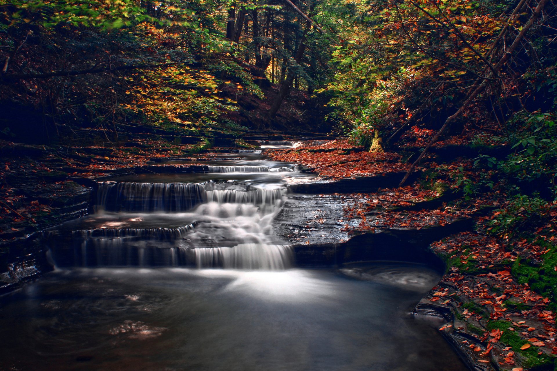 automne forêt rivière ruisseau cascade