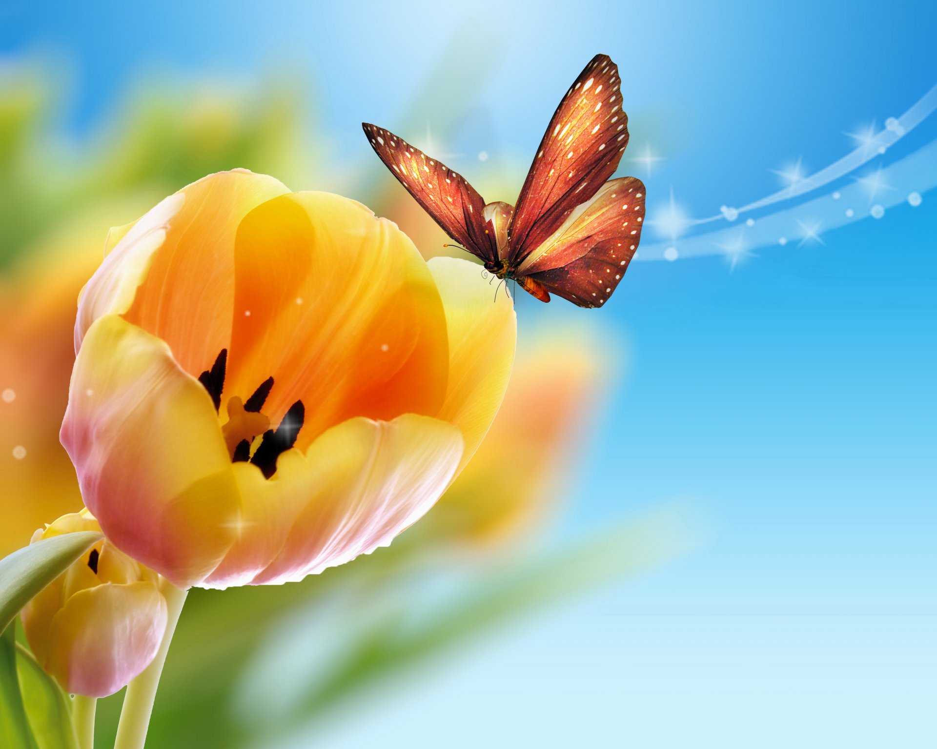 tulips yellow blue background butterfly