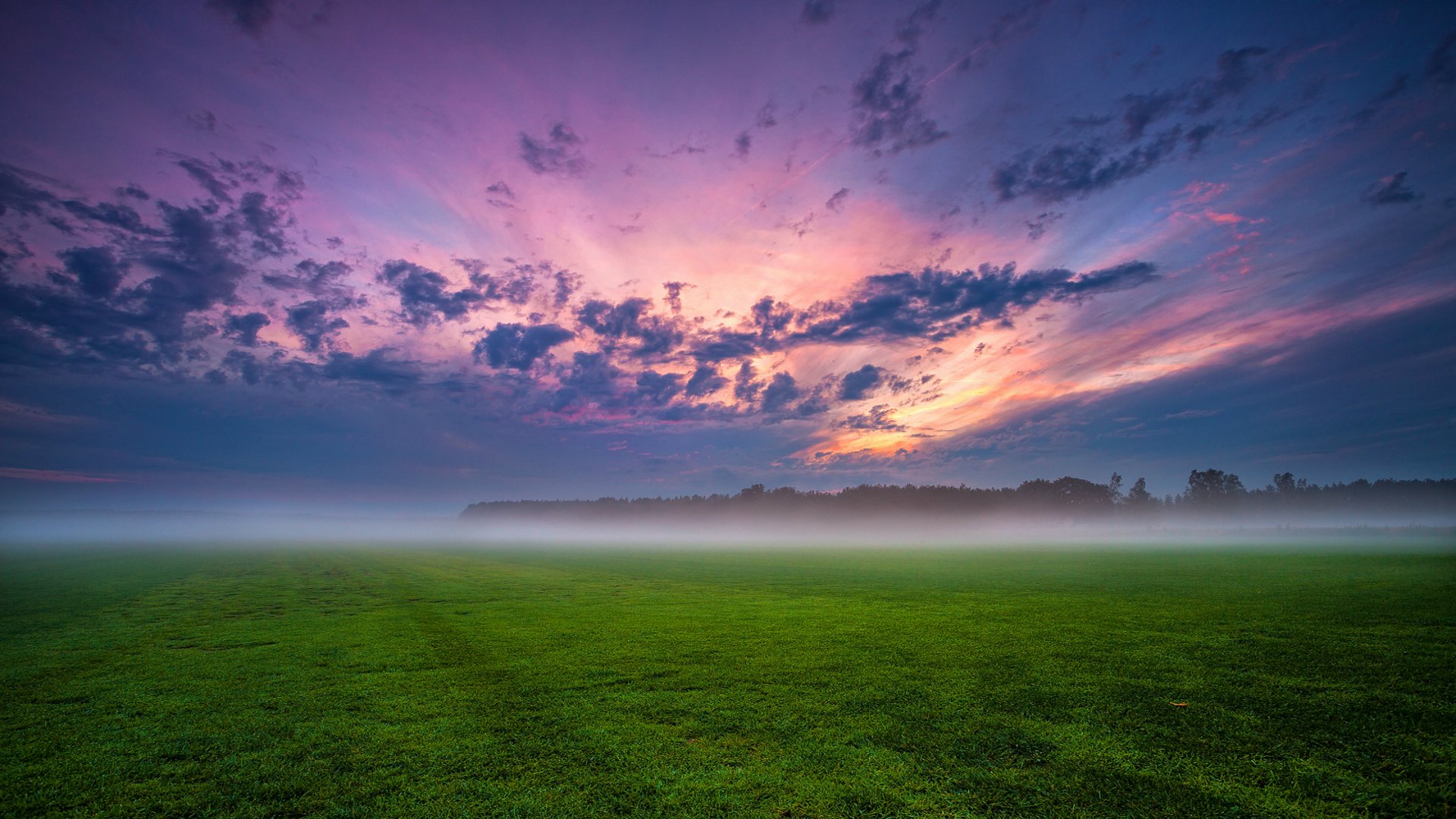 alemania campo árboles hierba niebla neblina tarde puesta de sol azul cielo nubes nubes