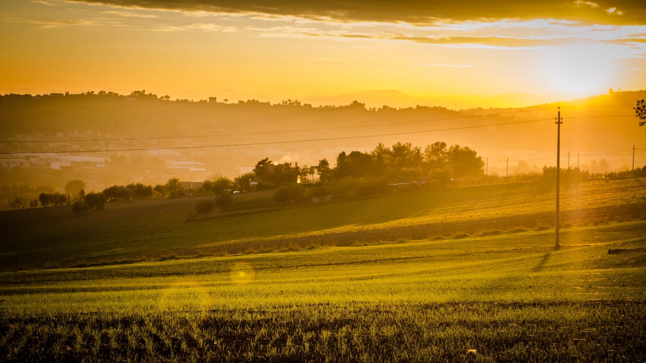 natura drzewo drzewa liście listki liście trawa zieleń łąka słońce promienie tło tapeta panoramiczny pełny ekran panoramiczny panoramiczny