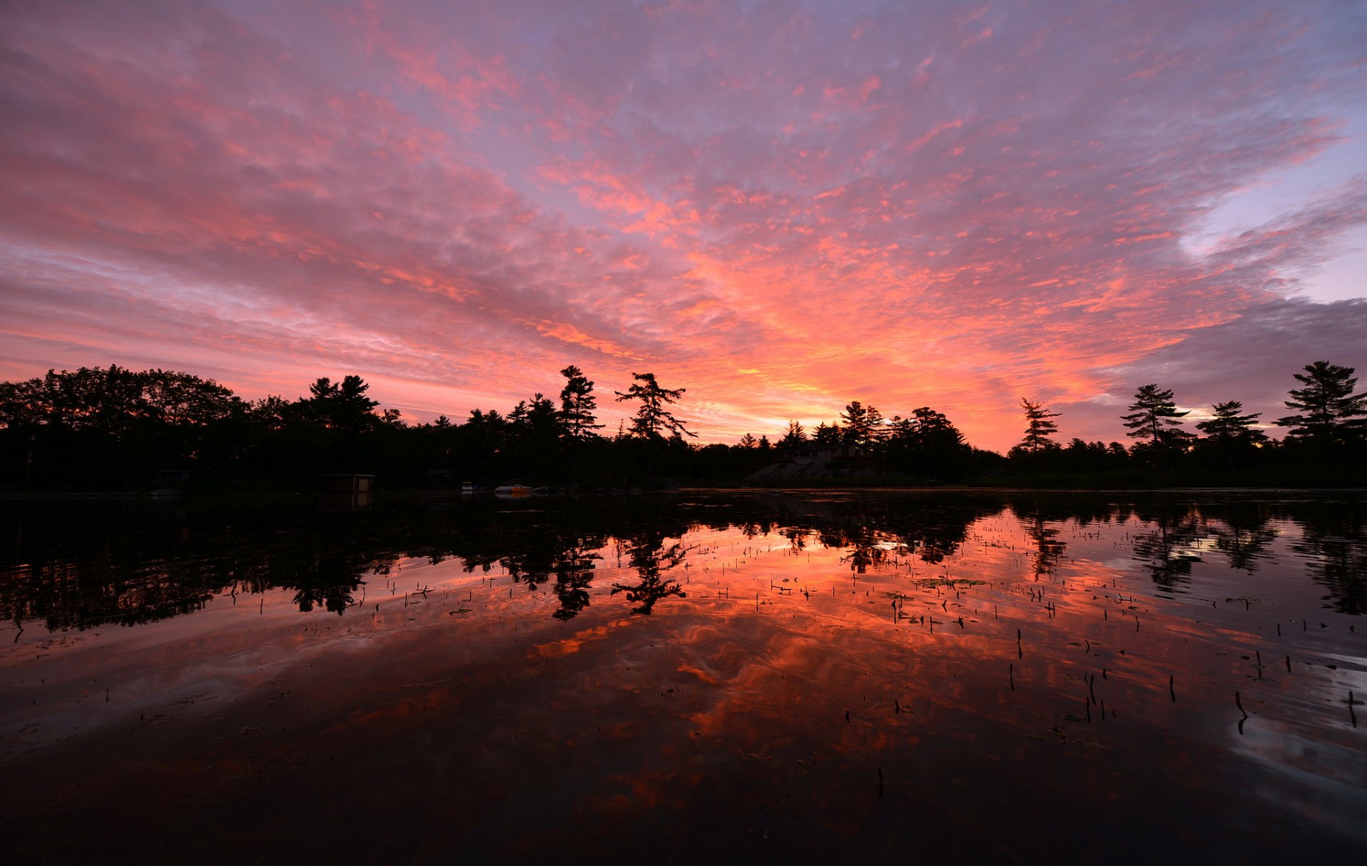 canada ontario lake tree night sunset orange sky clouds reflection