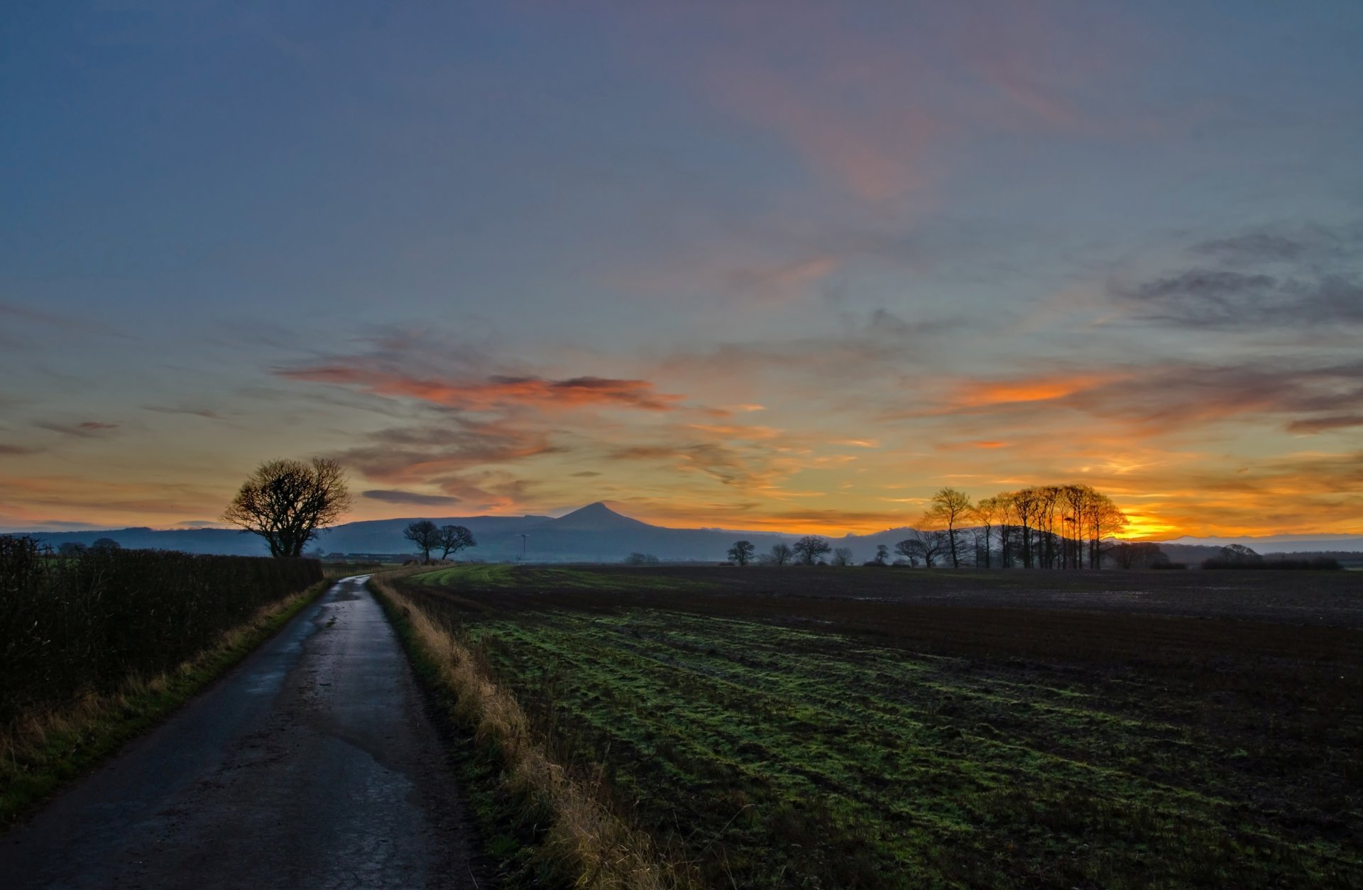 nature tree trees branches leaves greenery vegetation path path road path field mountains sunset sun sky clouds background wallpaper widescreen fullscreen widescreen widescreen