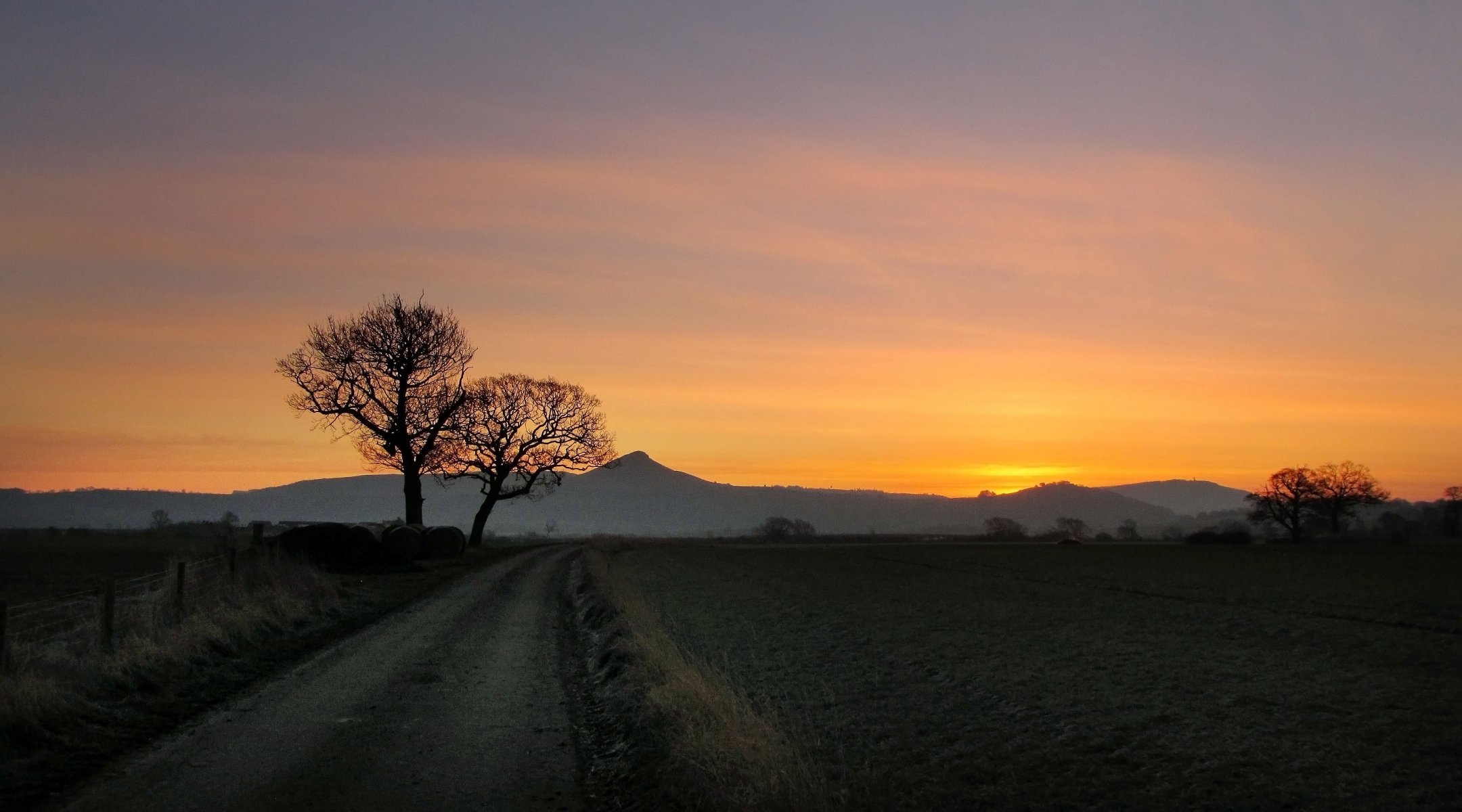 nature tree trees vegetation greenery path sky mountains evening background wallpaper widescreen fullscreen widescreen widescreen