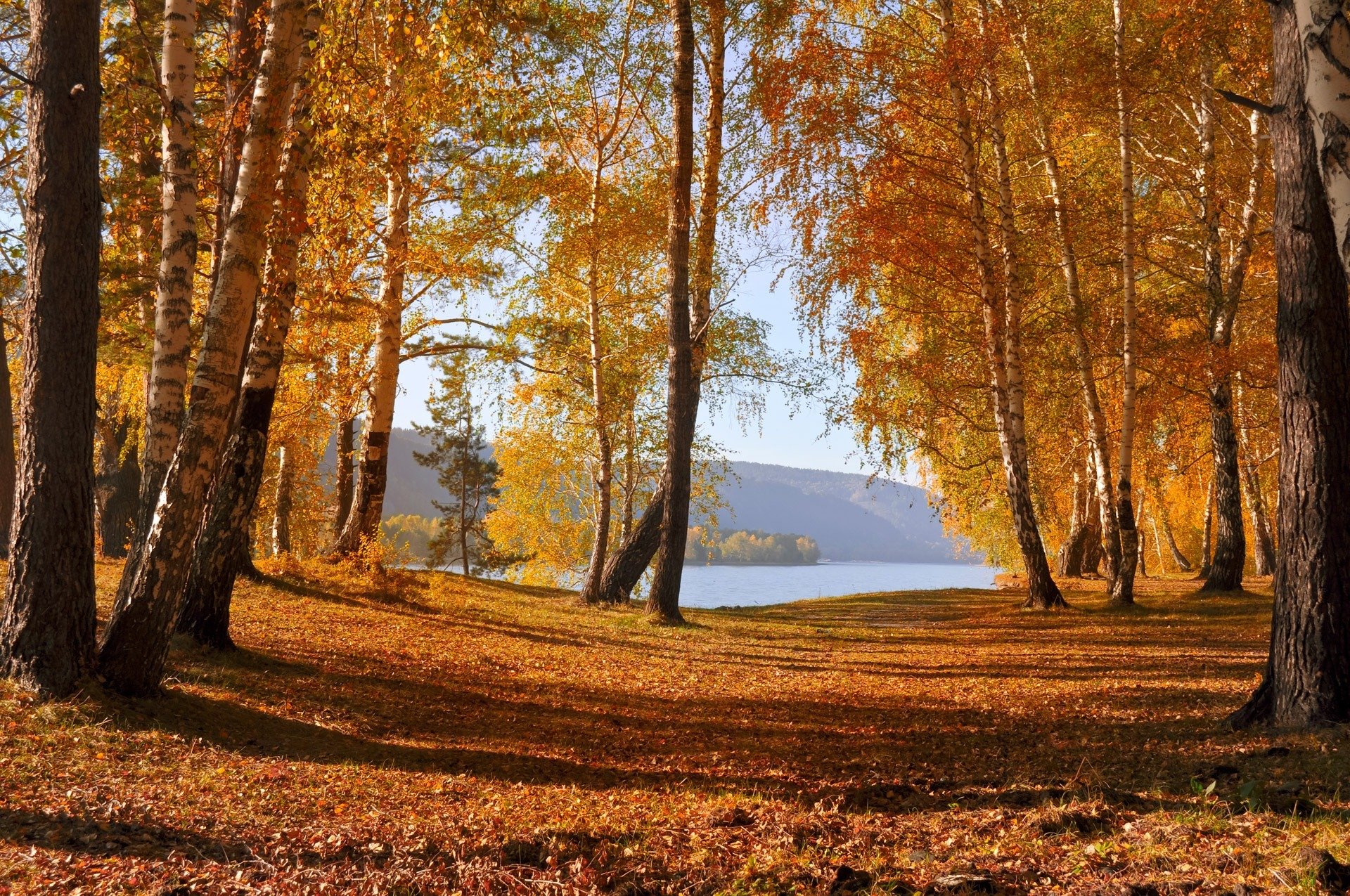 natura jesień liście drzewa jezioro góry