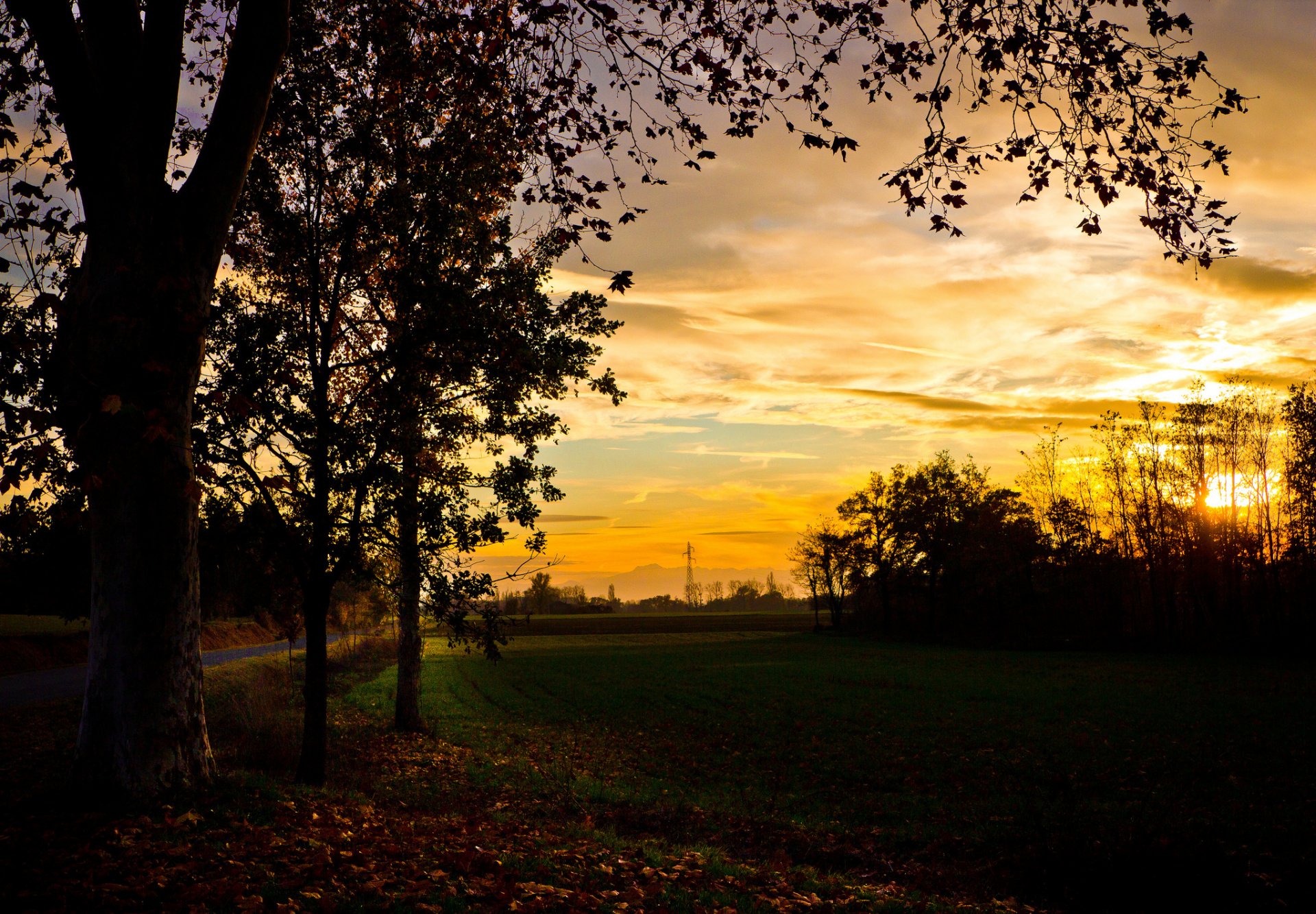 autumn the field tree night sunset