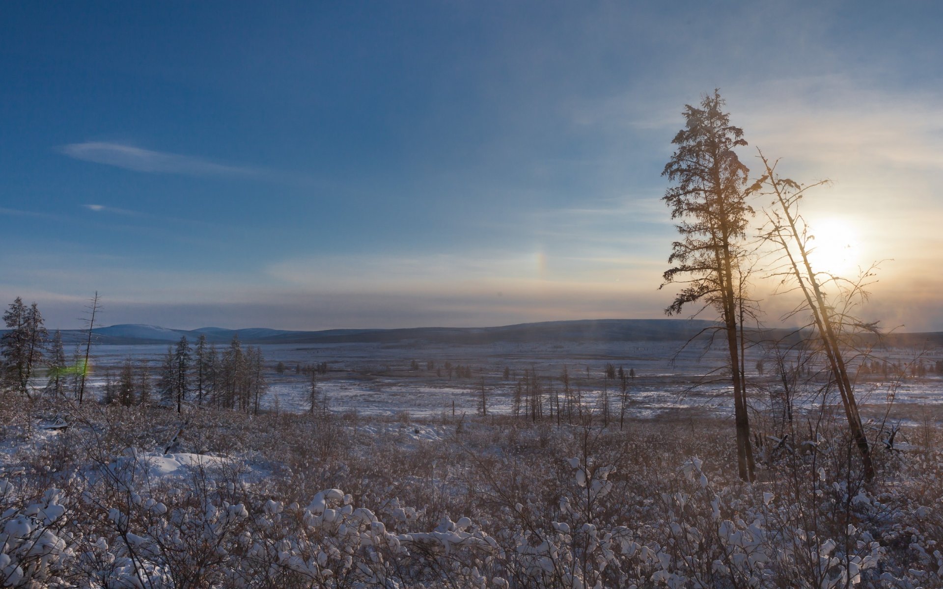 nord pôle froid oymyakon arbres neige soleil