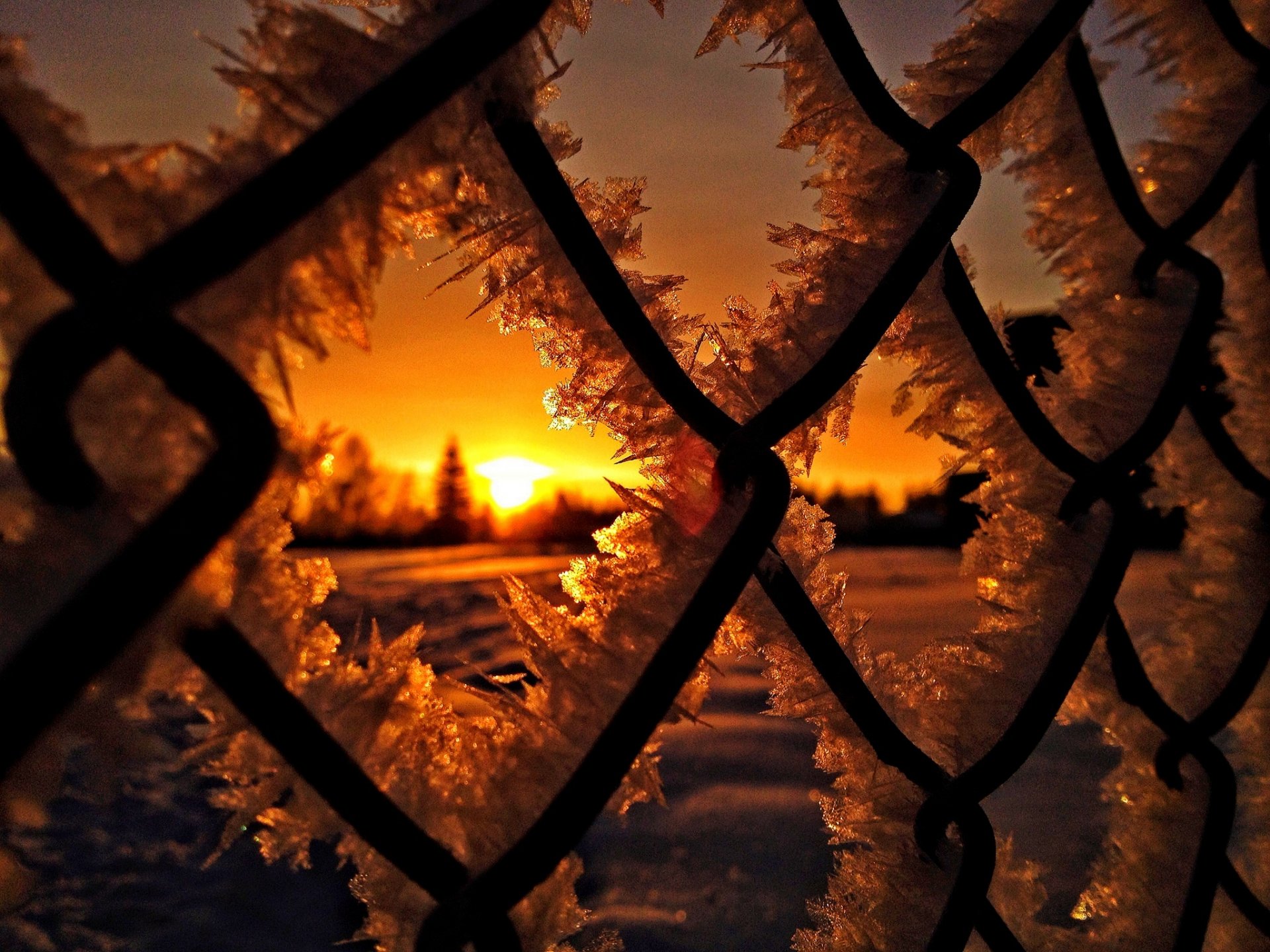 nature winter snow ice freezing sun sunset winter frost sunrise