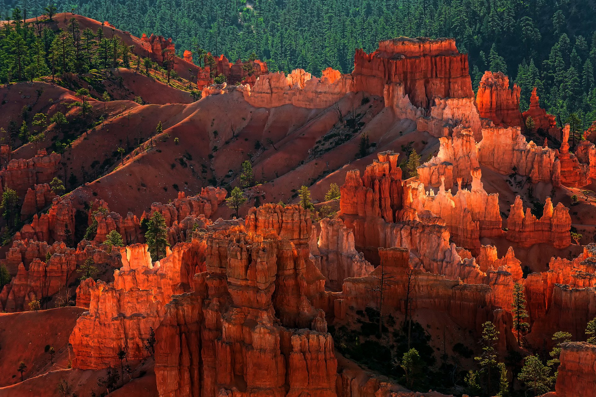 usa utah bryce canyon national park hudu geologische strukturen felsen wald abend