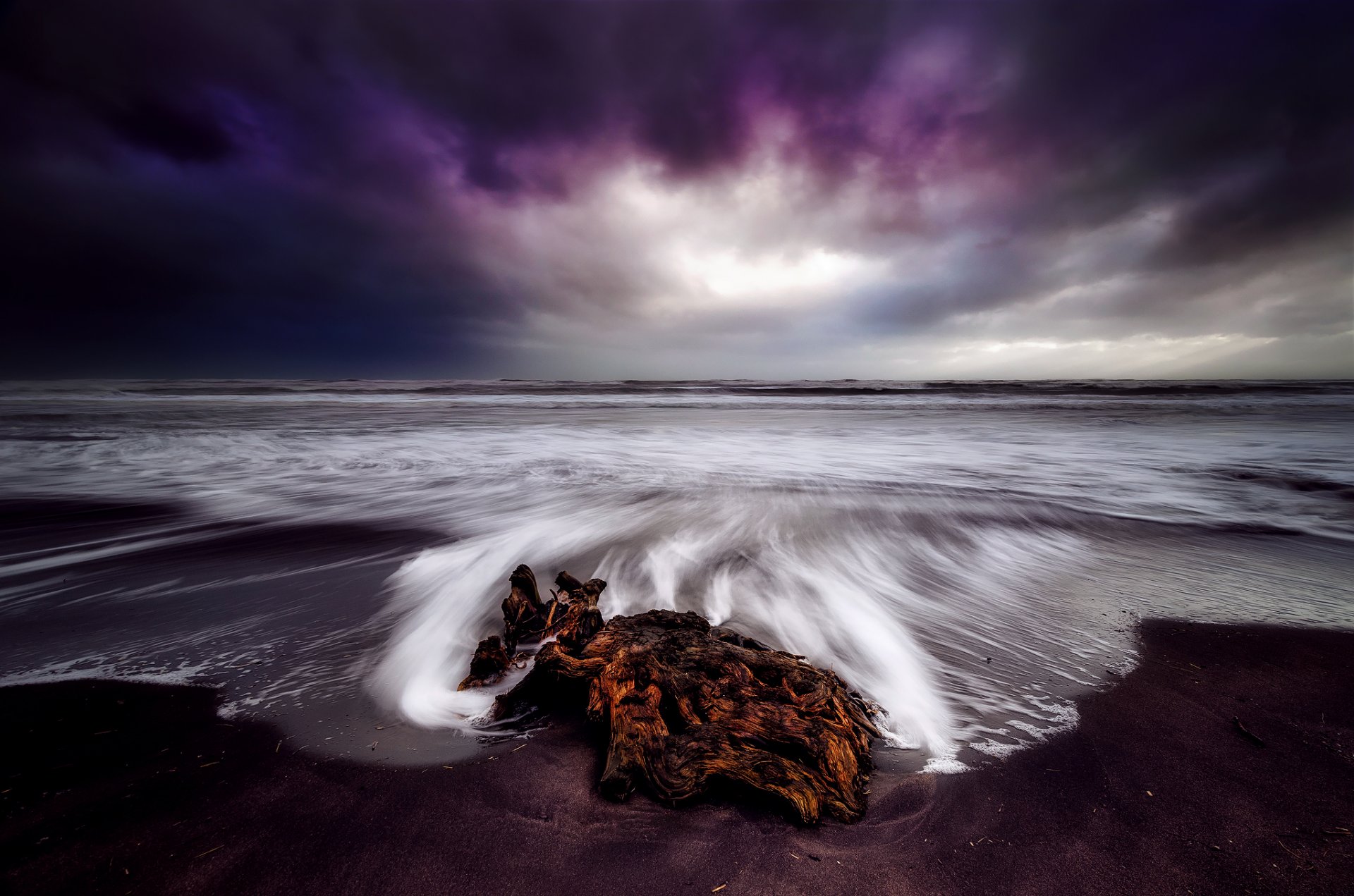 nueva zelanda playa madera flotante mar cielo otoño exposición