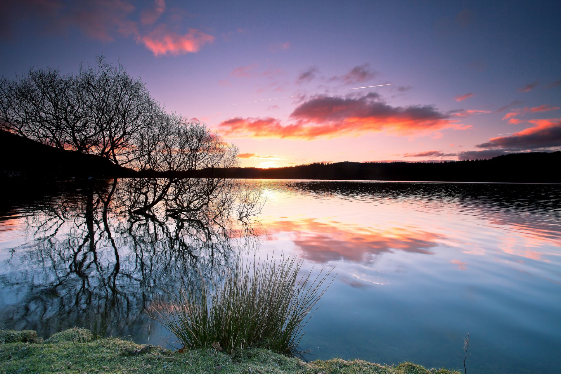 forest lake tree silhouette reflection sunset night twilight