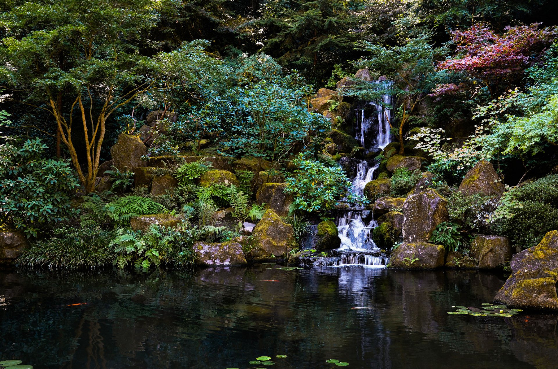 jardin japonais cascade pierres arbres étang parc