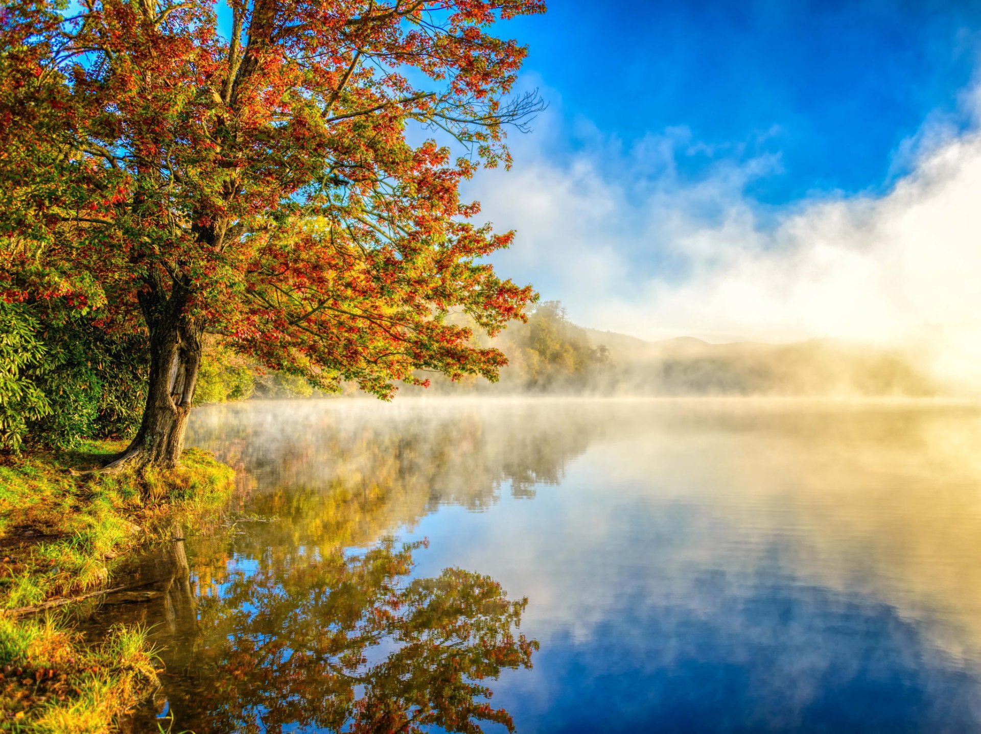 landschaft dunst natur see herbst wald