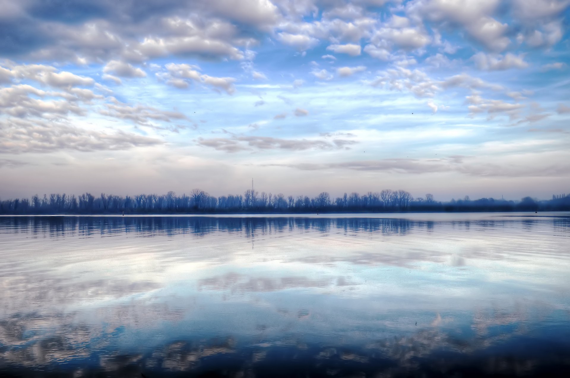 forêt lac réflexion matin hiver