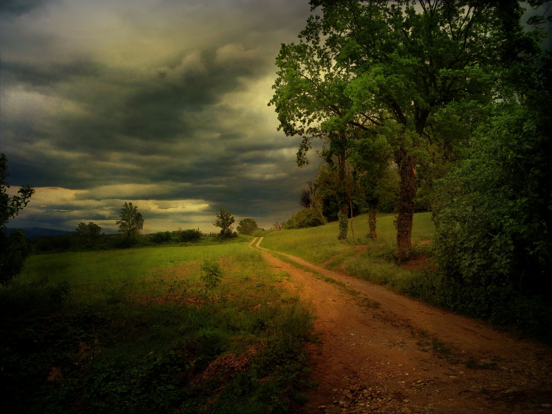 tree road cloud