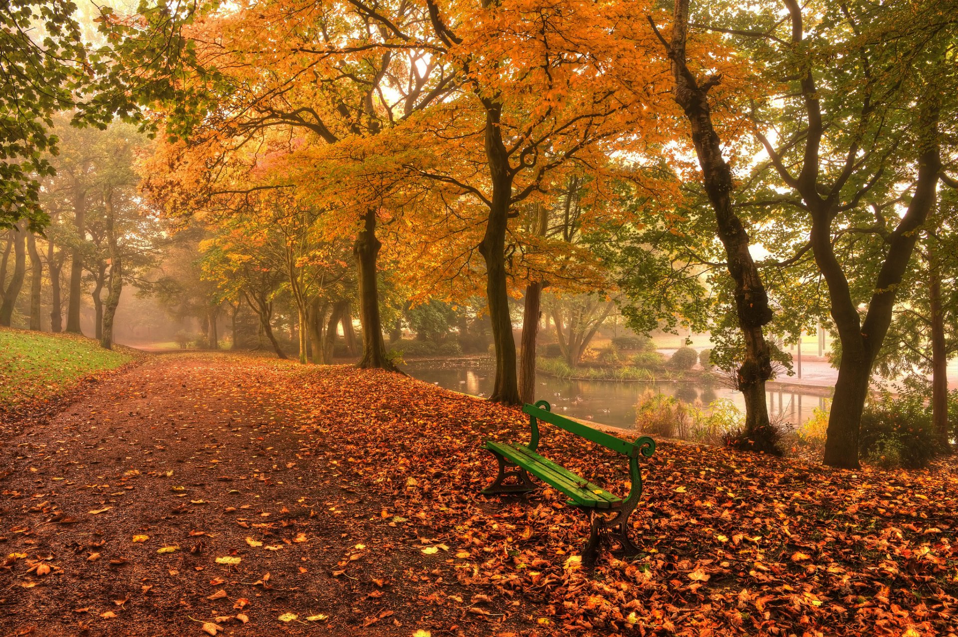 natura krajobraz liście liście drzewo drzewa jesień ławka ławka ławka zielony chodnik chodnik aleja rzeka woda tło tapeta panoramiczny pełny ekran panoramiczny panoramiczny