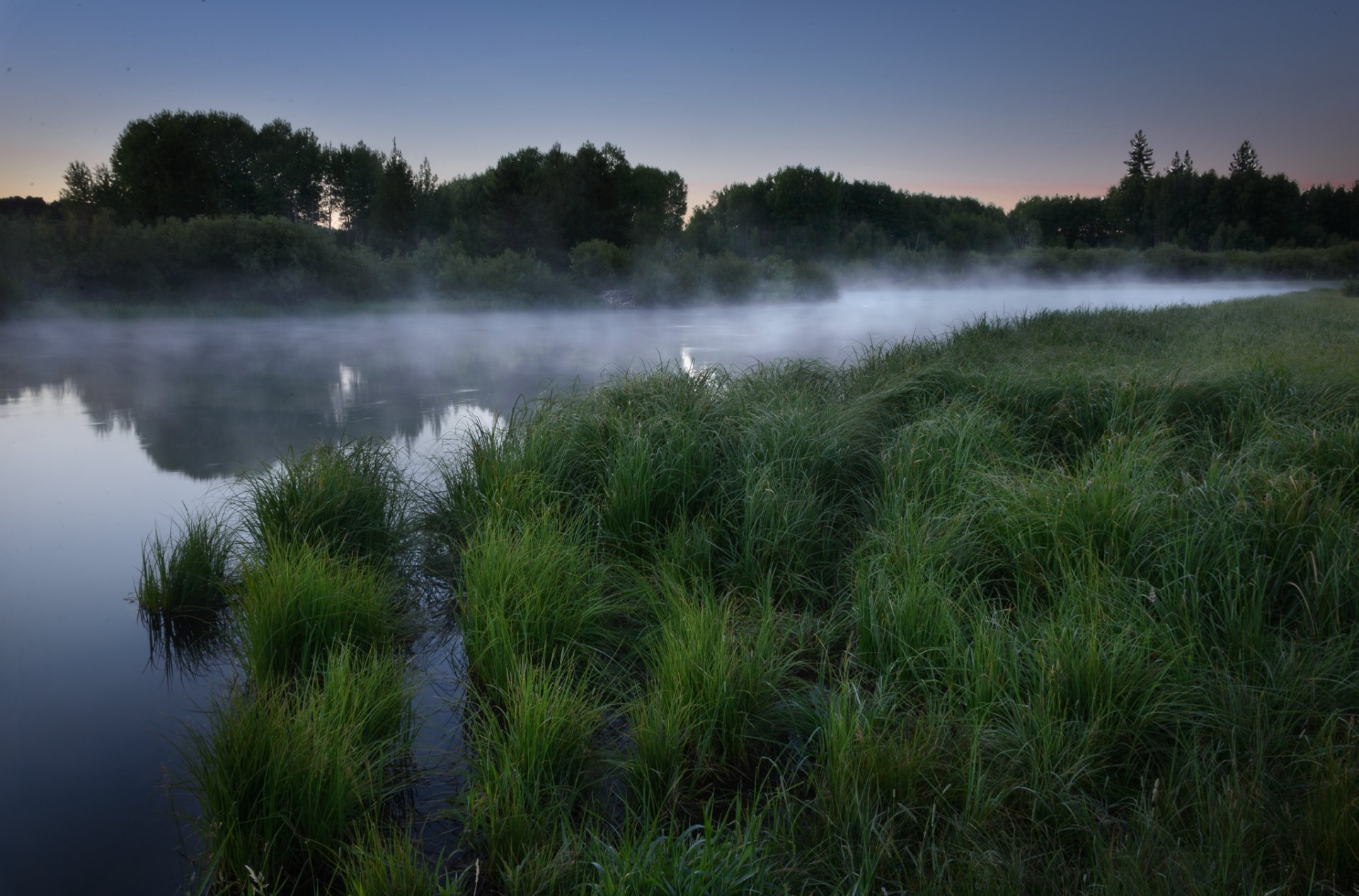 forêt lac brouillard herbe aube matin