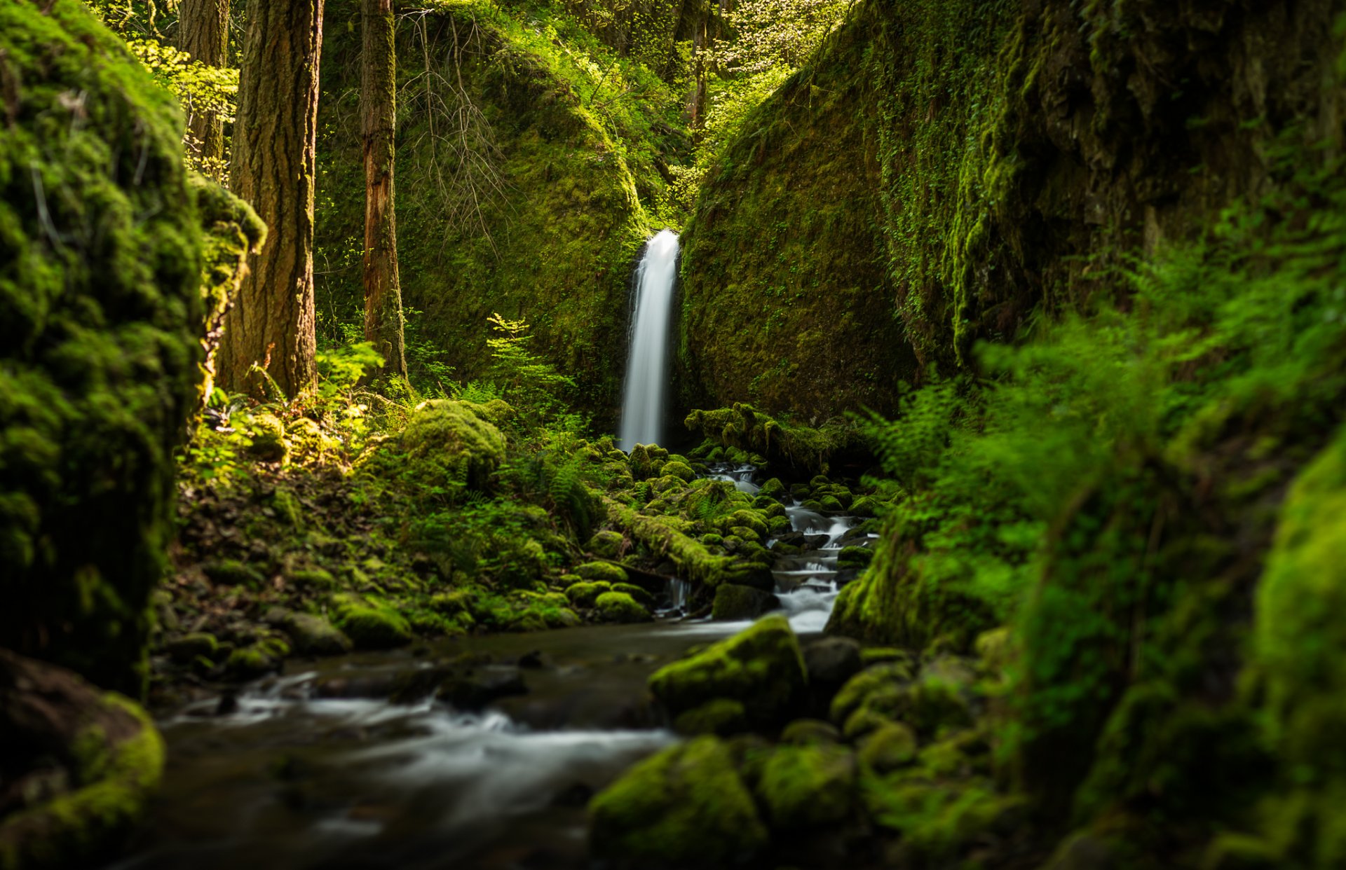 ruckel creek falls oregon waterfall forest river