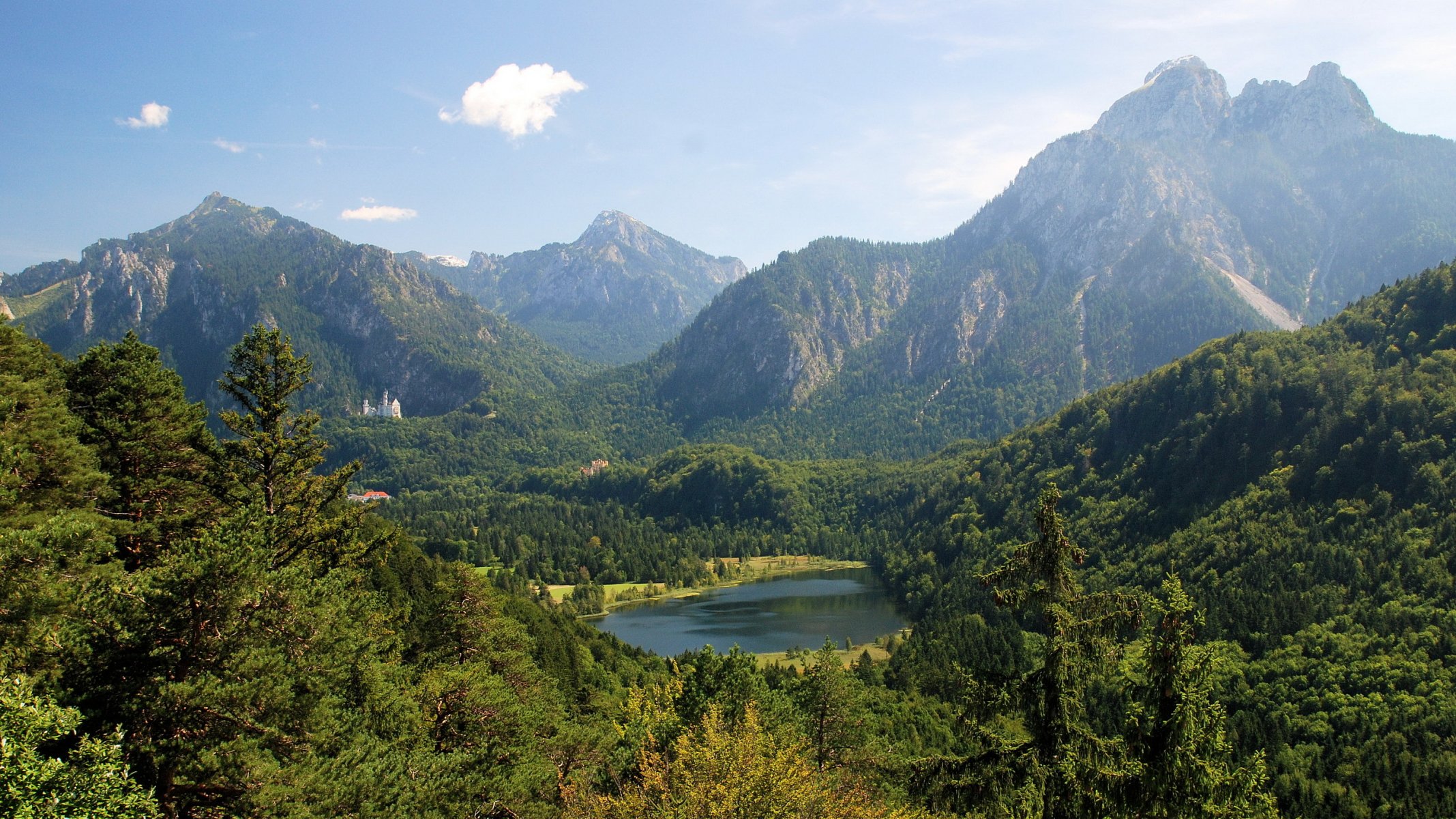 deutschland alpen bayern neuschwanstein berge wald see schloss