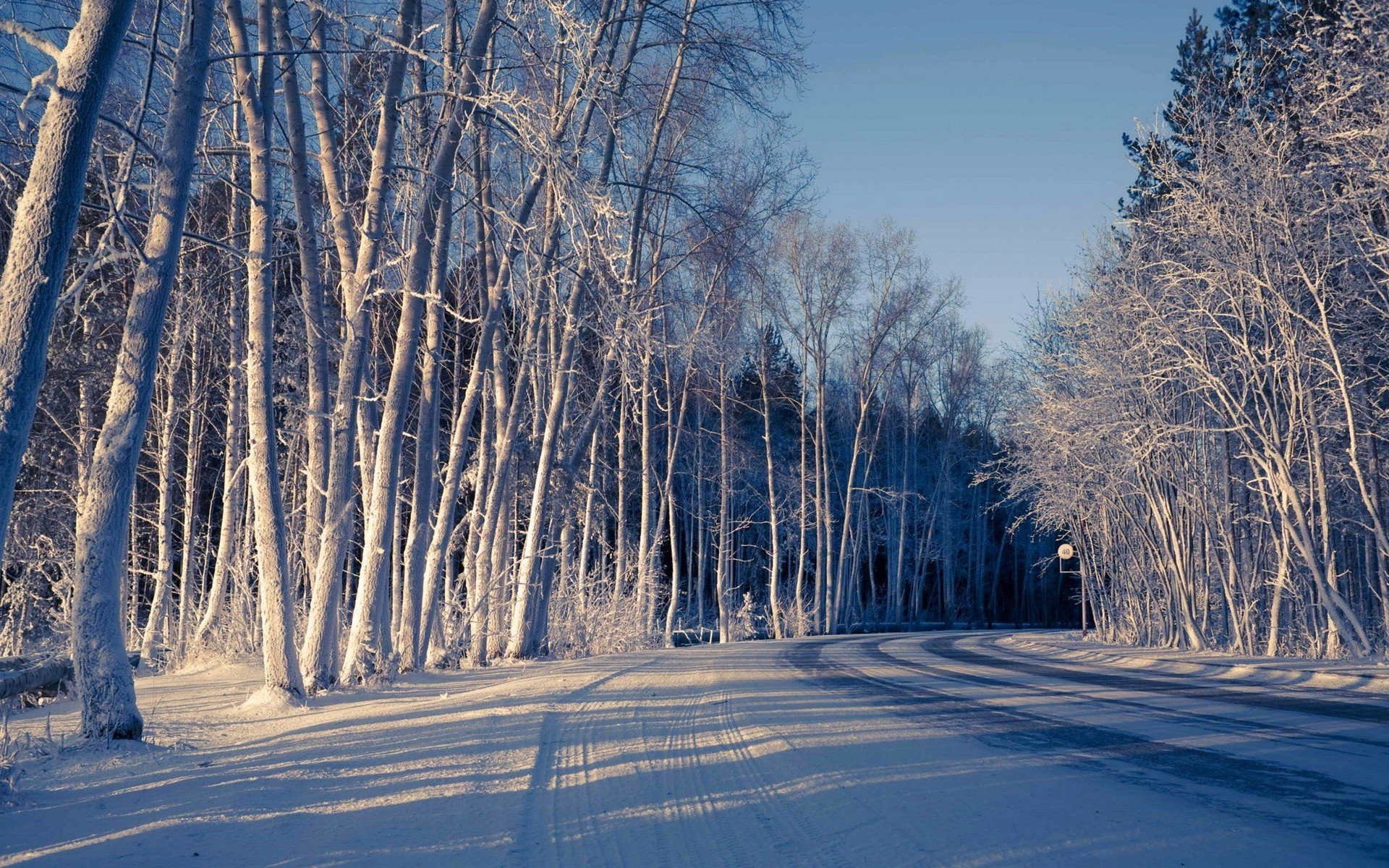 natura neve inverno alberi strada freddo ombra inverno sfondo carta da parati widescreen schermo intero widescreen