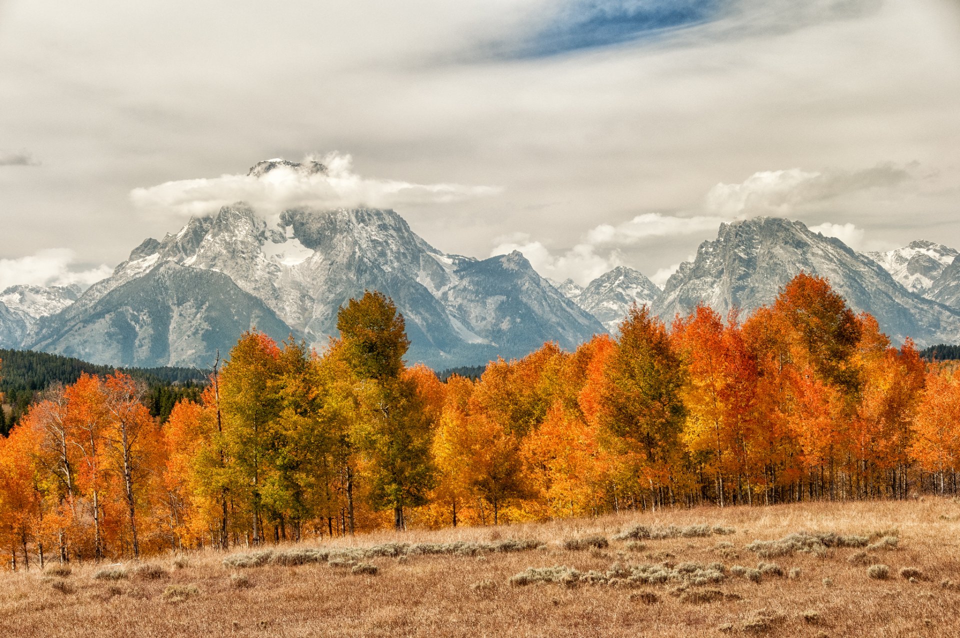 montagne foresta alberi cime autunno nuvole