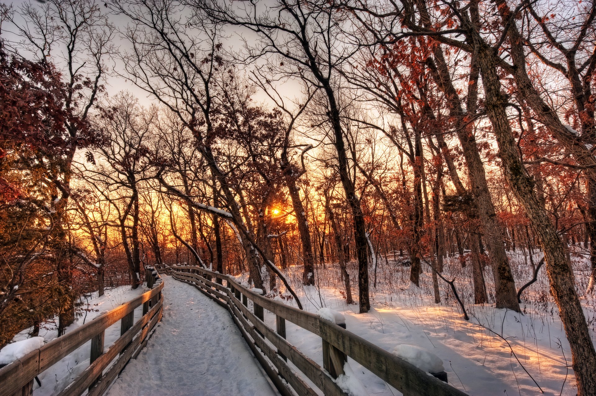 natur wald bäume pfad schnee winter sonnenuntergang sonne himmel wolken weiß landschaft schön winter weiß cool schön