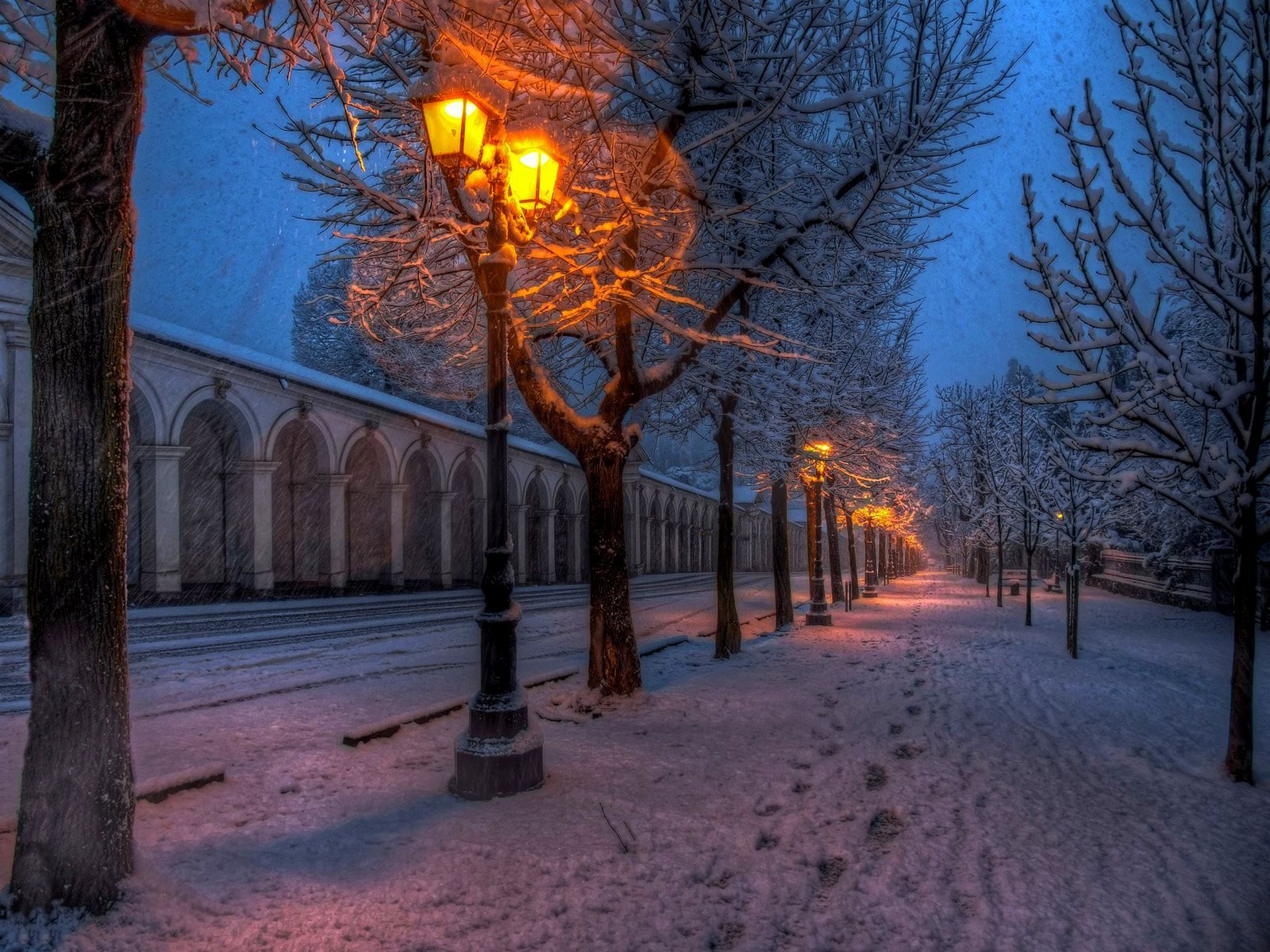 nature park street road walk winter snow lanterns trees path winter