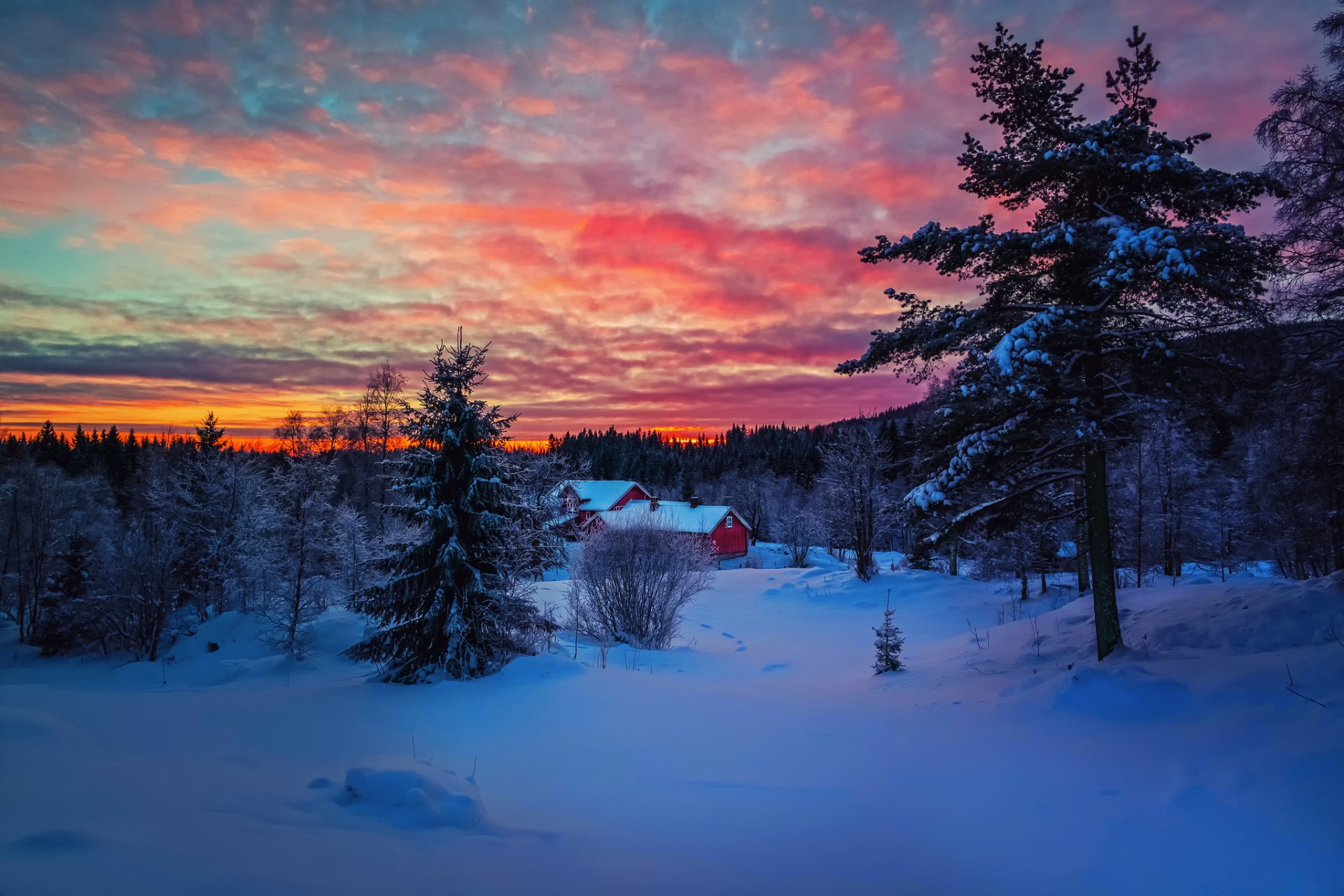 invierno tarde puesta de sol cielo nubes pintura nieve bosque casa