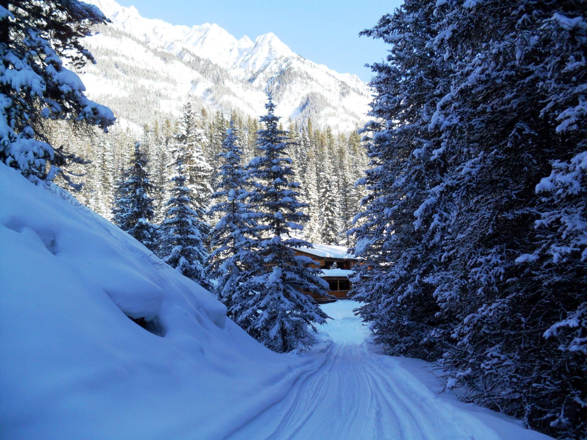 invierno parque montañas canadá nieve árboles abeto banff casa naturaleza foto