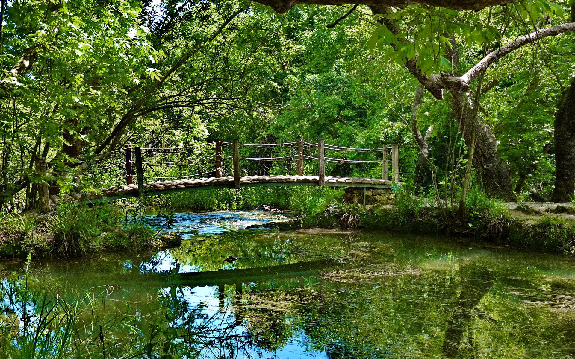 rivière pont forêt verdure végétation algues arbres pont perilla eau réflexion feuillage