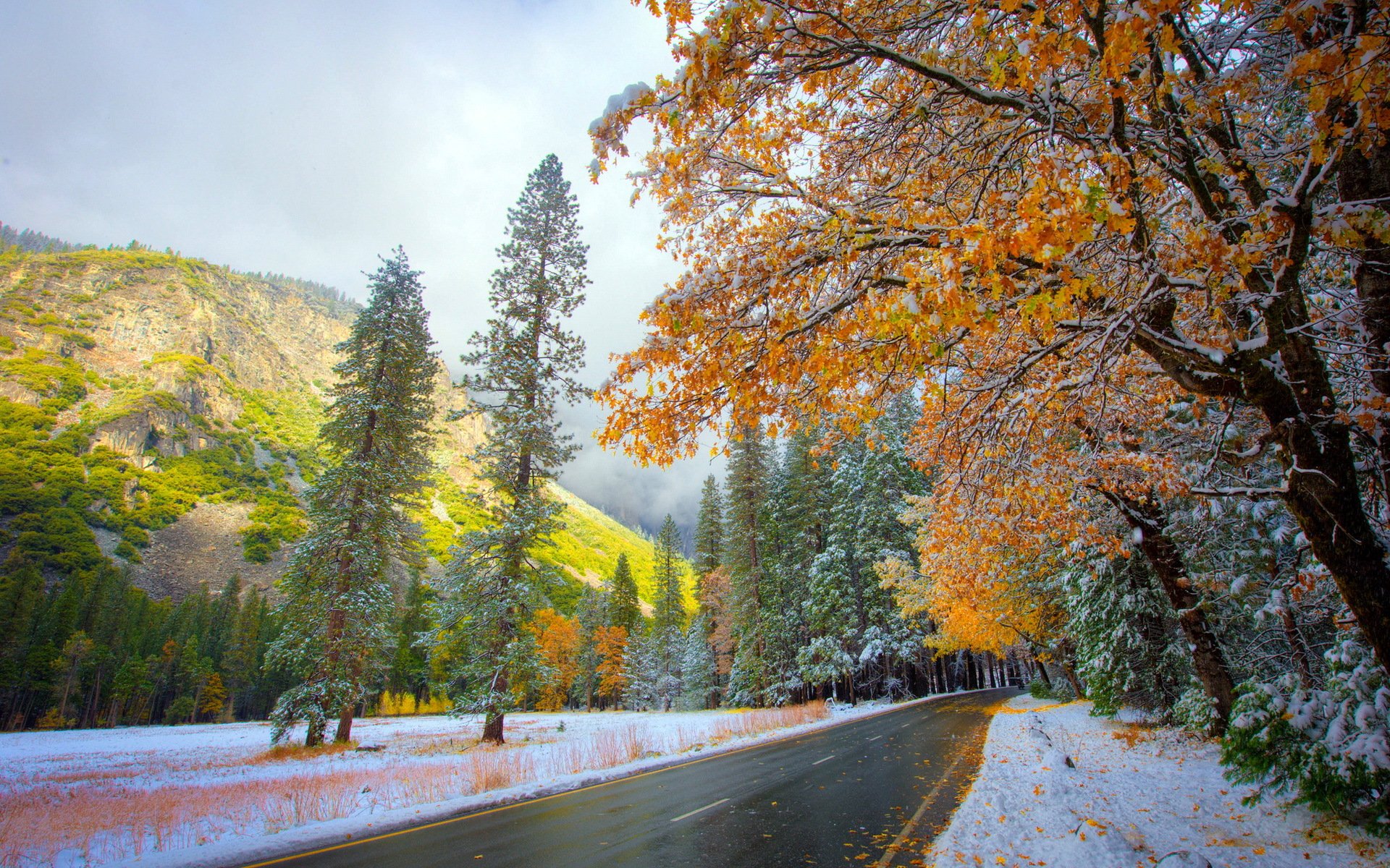 strada autunno neve natura